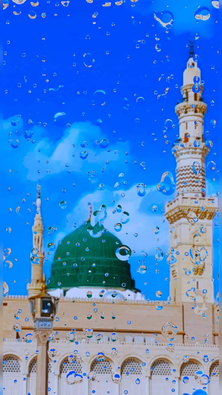 736x1308 Madina Wallpaper