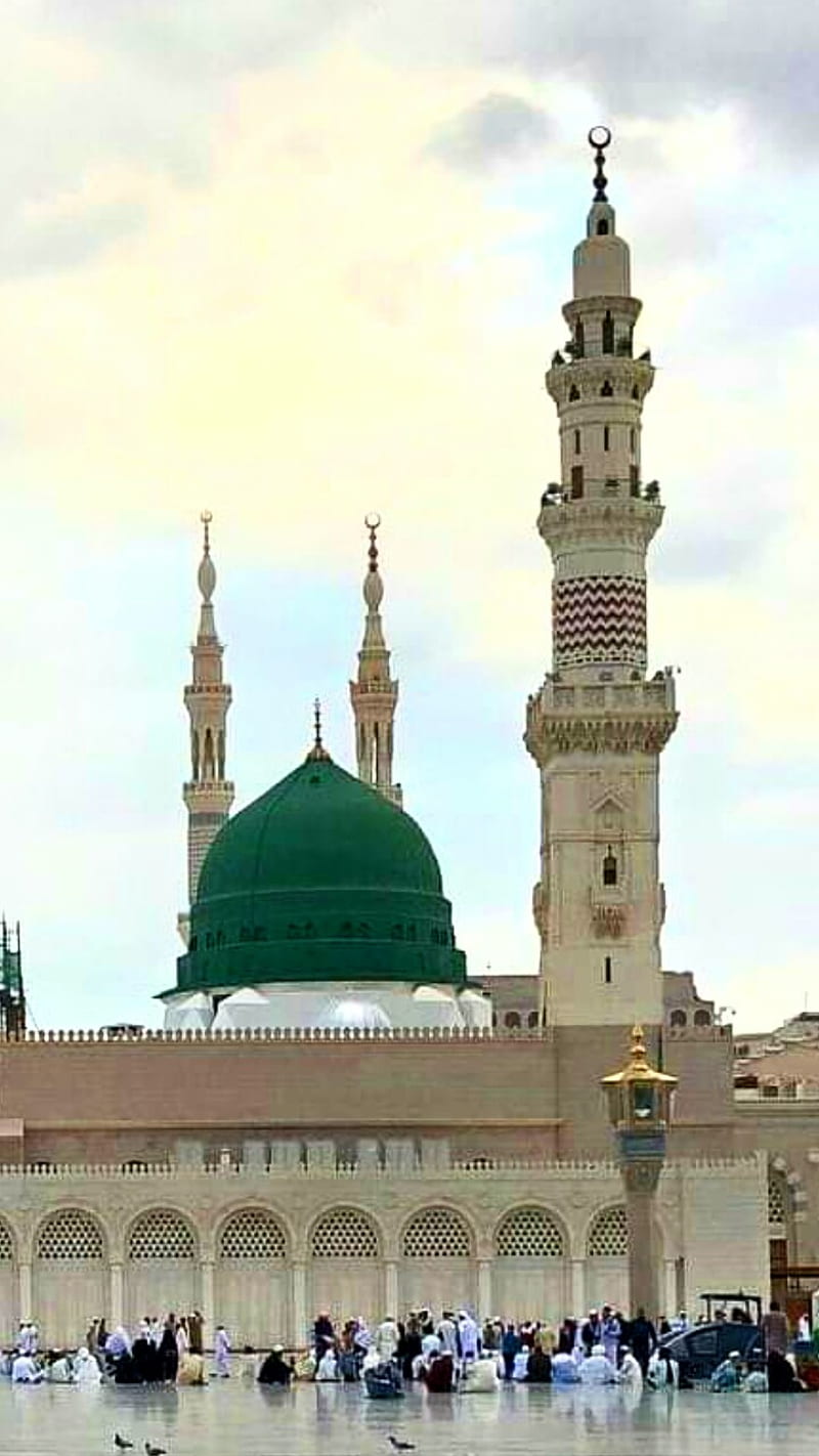 800x1422 Madina munawara, mosque, islamic, masjid, HD phone wallpaper