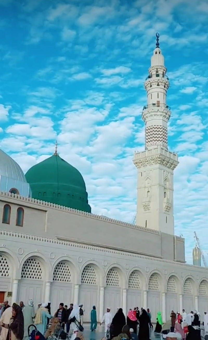 800x1303 Madina Sharif Wallpaper