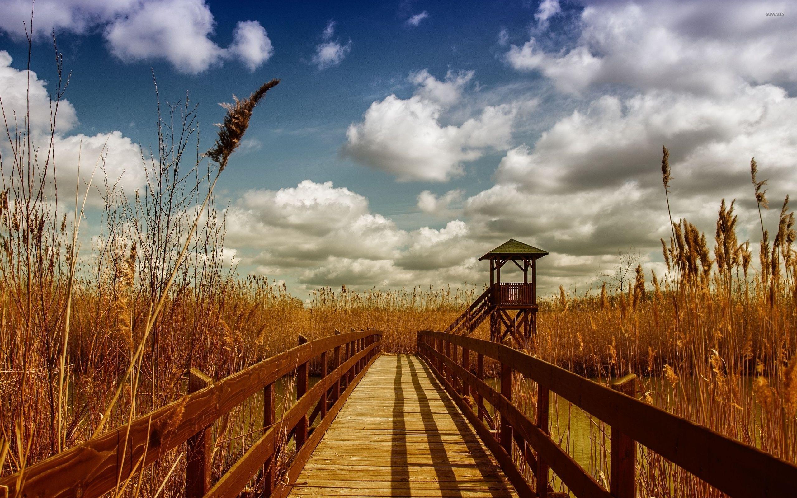 2560x1600 Wooden bridge across the river towards the reed wallpaper