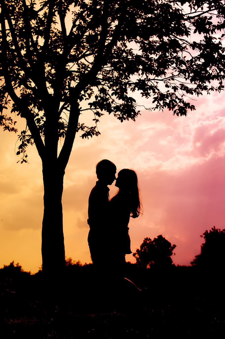 910x1370 HD wallpaper: fantasy, love, couple, romance, sky, girl, nature, outdoor
