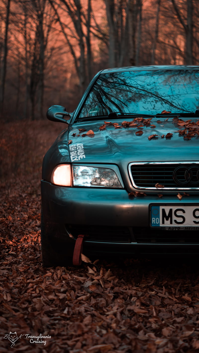 800x1422 HD audi s4 quattro wallpaper