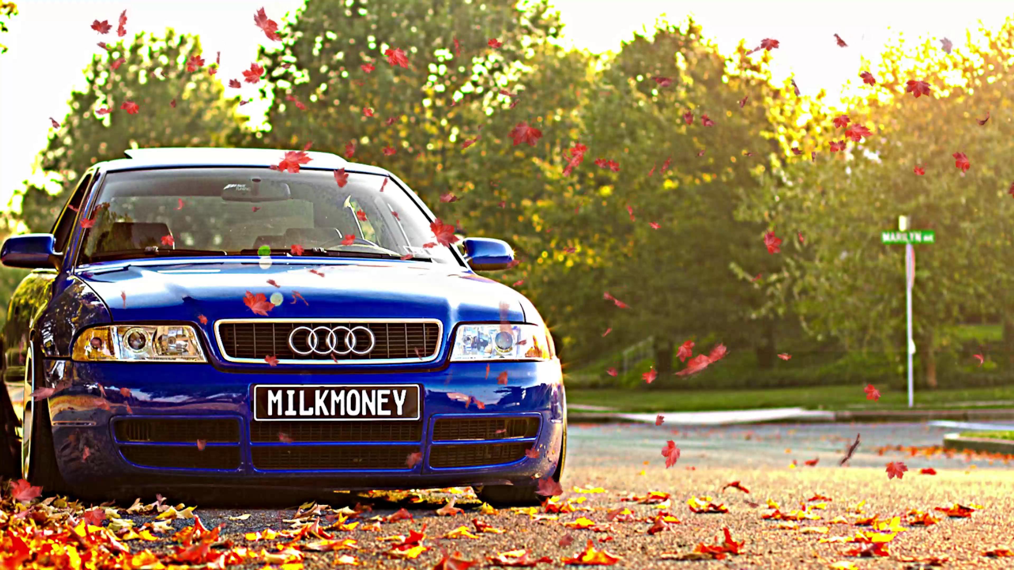3840x2160 Audi S4 in Autumn Live Wallpaper