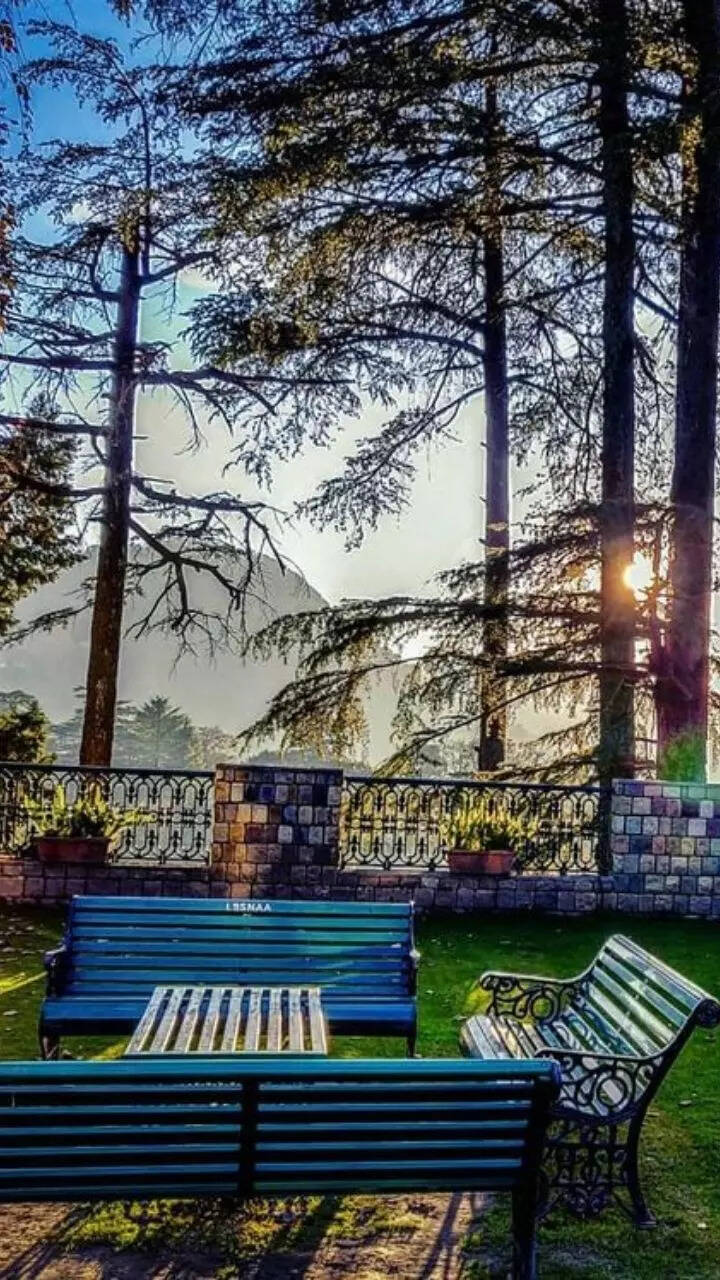 720x1280 What is the full form of LBSNAA in UPSC Know about IAS Officers training academy fees stipend location - क्या होता है LBSNAA का फुल फॉर्म, जहां पहुंचना हर UPSC Aspirant का