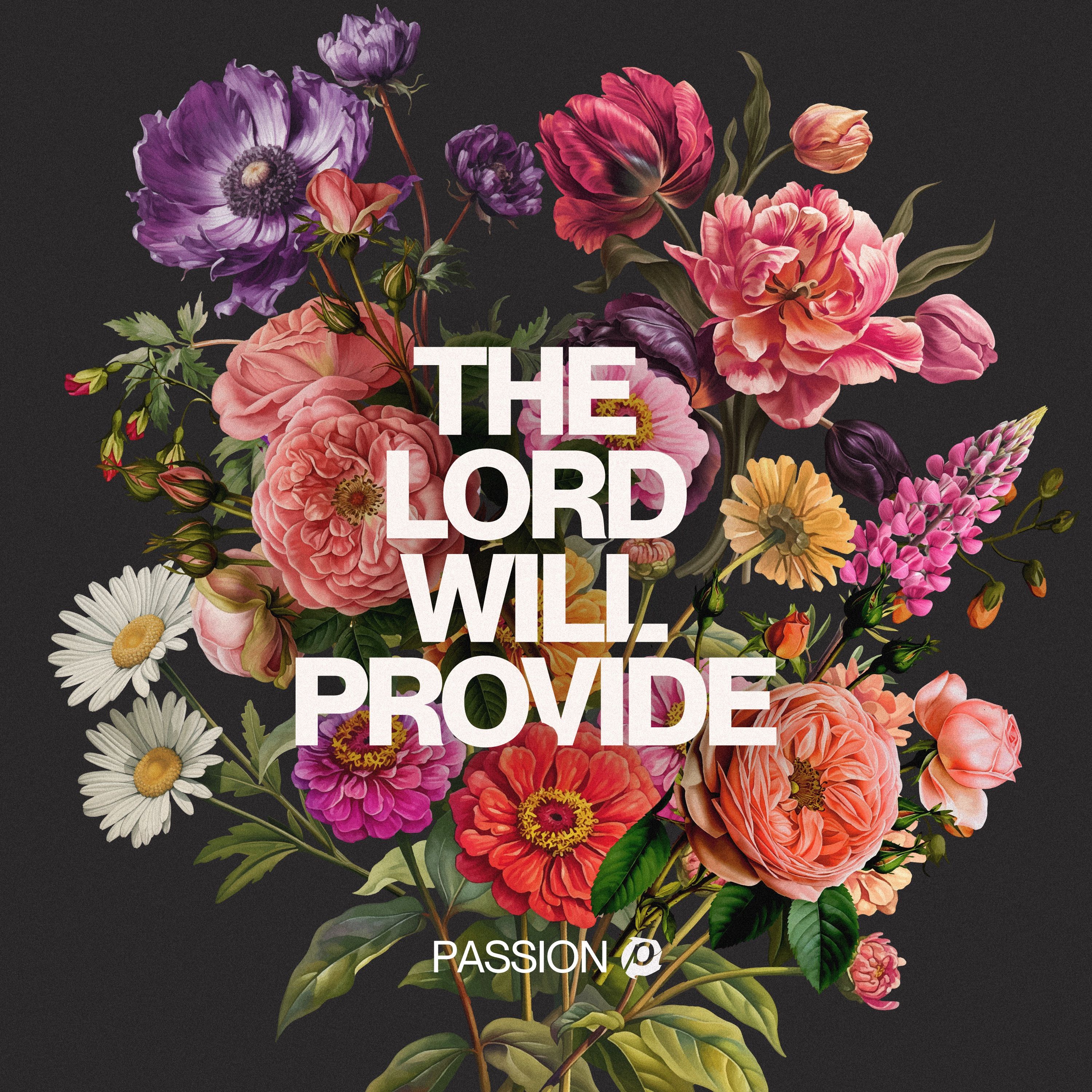 3000x3000 The Lord Will Provide (Radio Version)