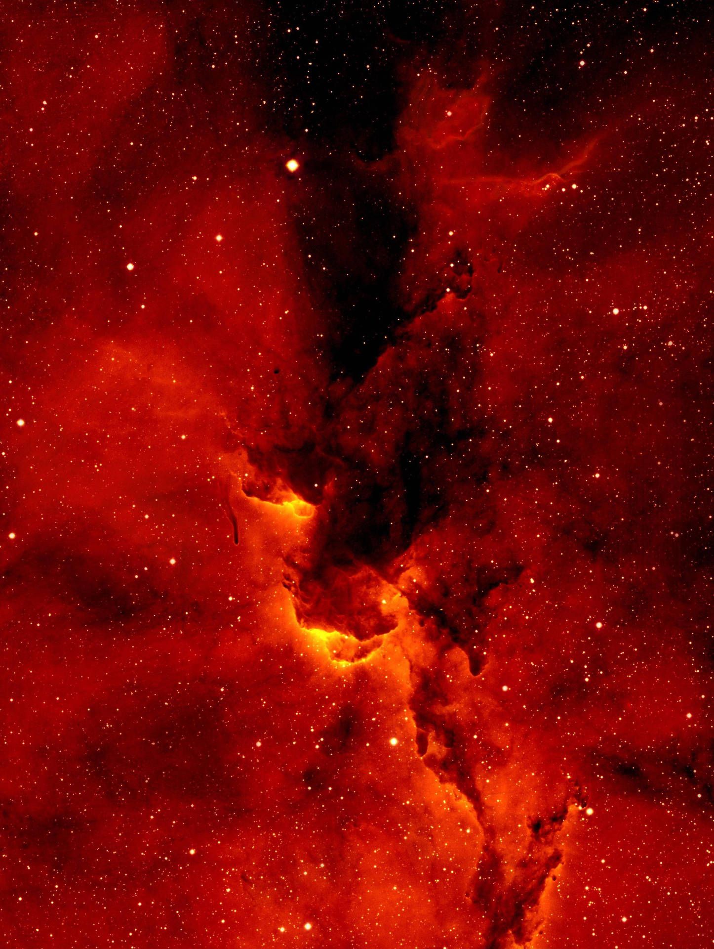 1446x1920 Download Neon Red Nebula Wallpaper