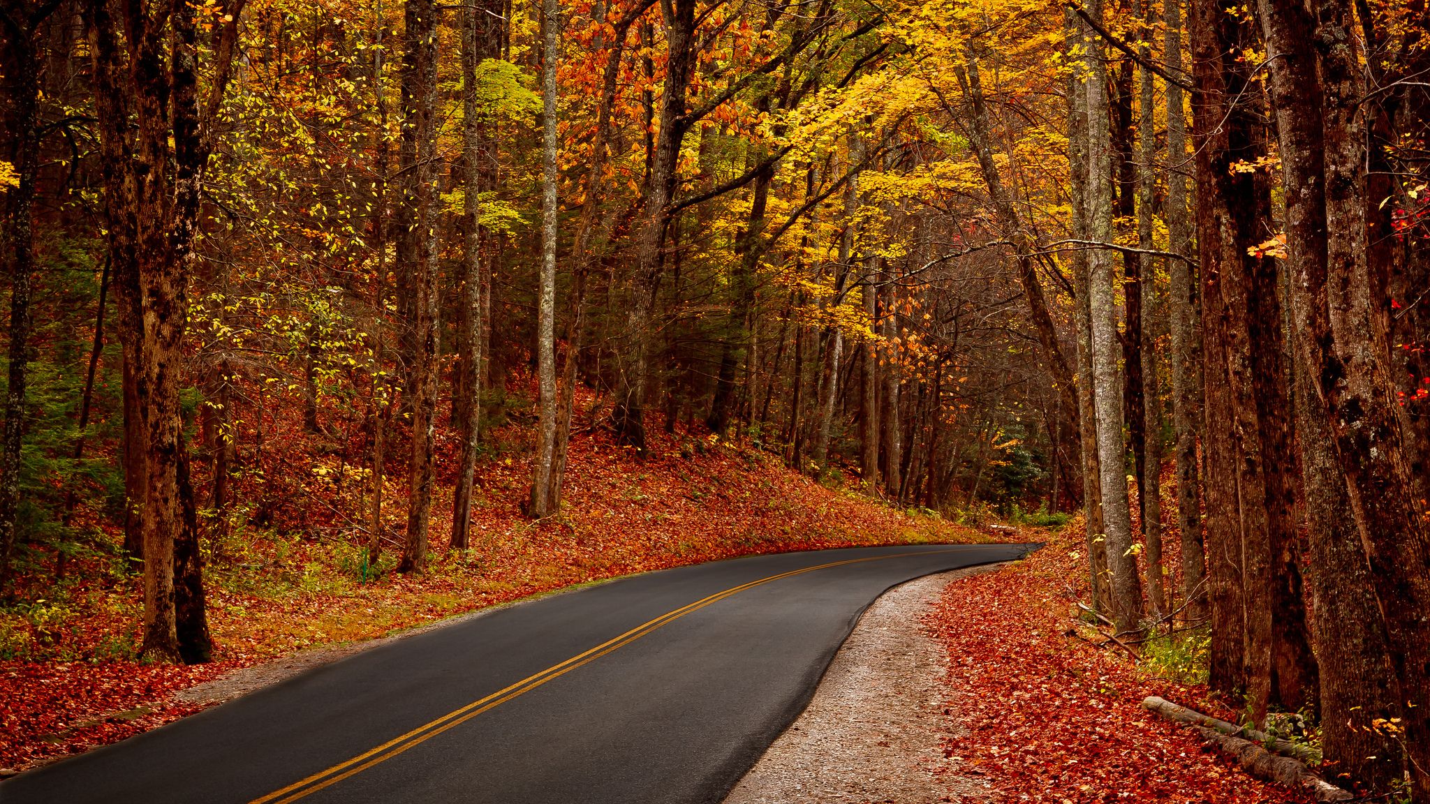 2048x1152 Wallpaper autumn, forest, leaves, trees, nature, Park, HDR, walk for mobile and desktop, section природа, resolution 2048x1152