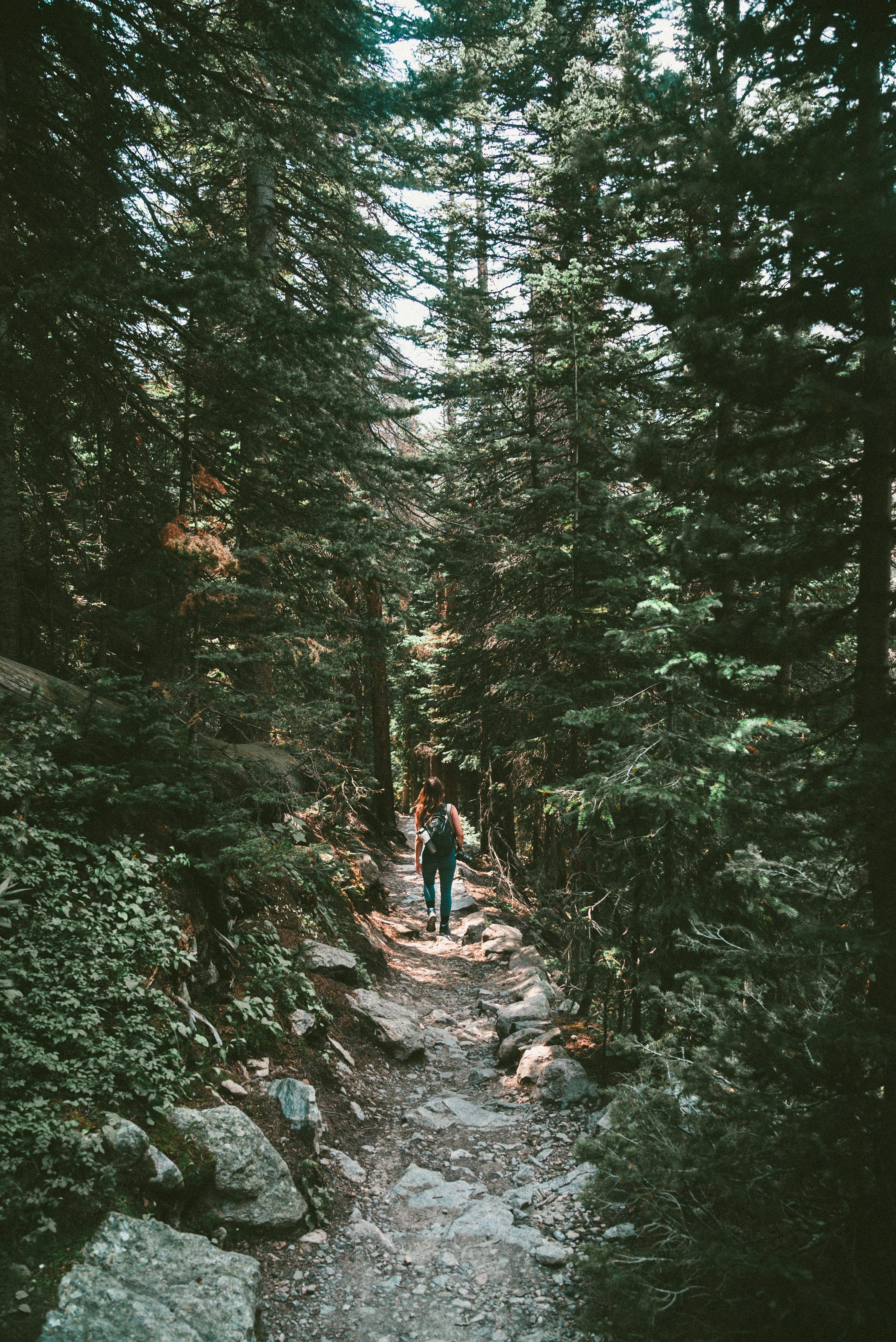 3000x4492 Person walking on rough road surrounded