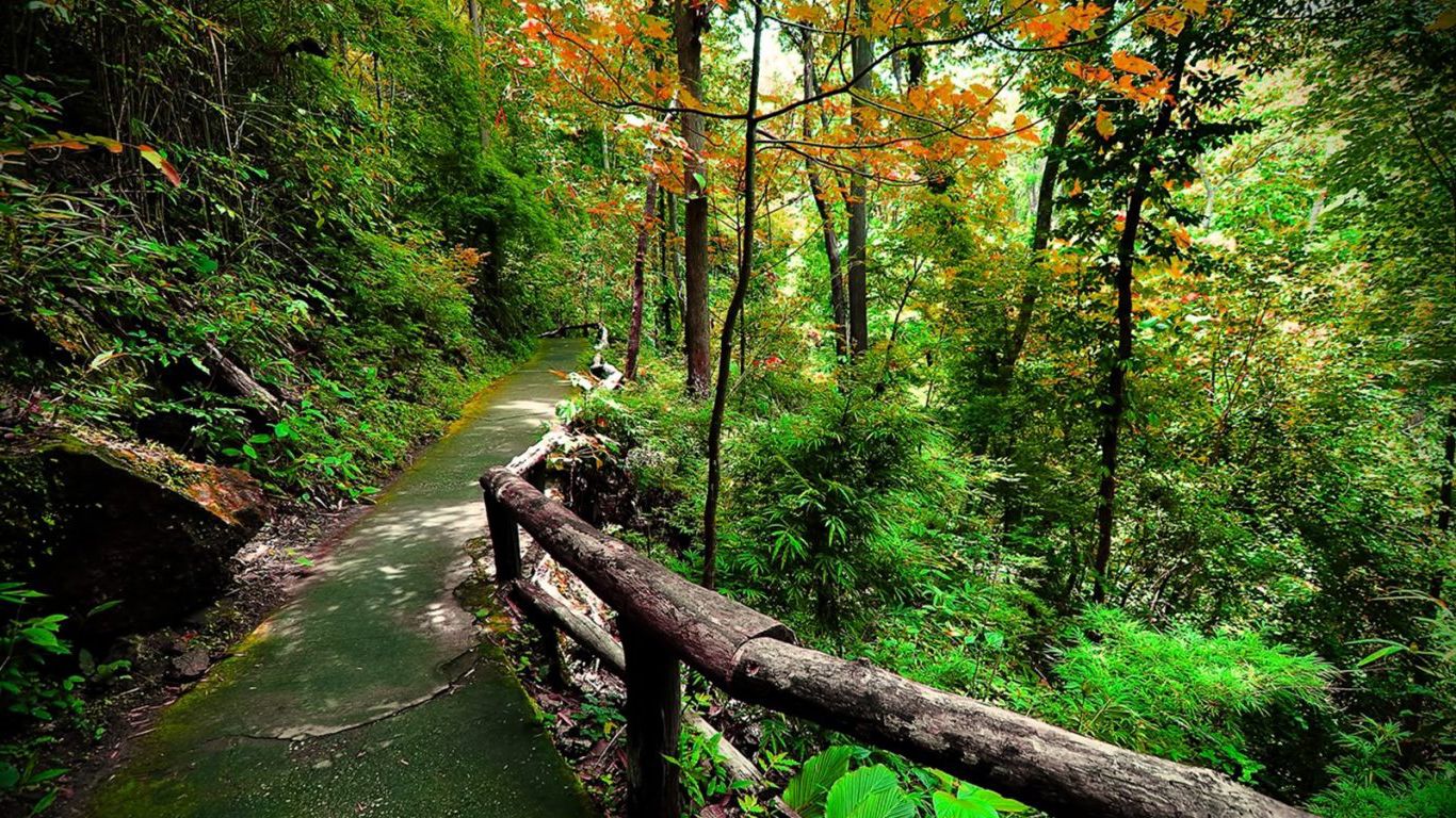 1366x768 Walking Path Wallpaper