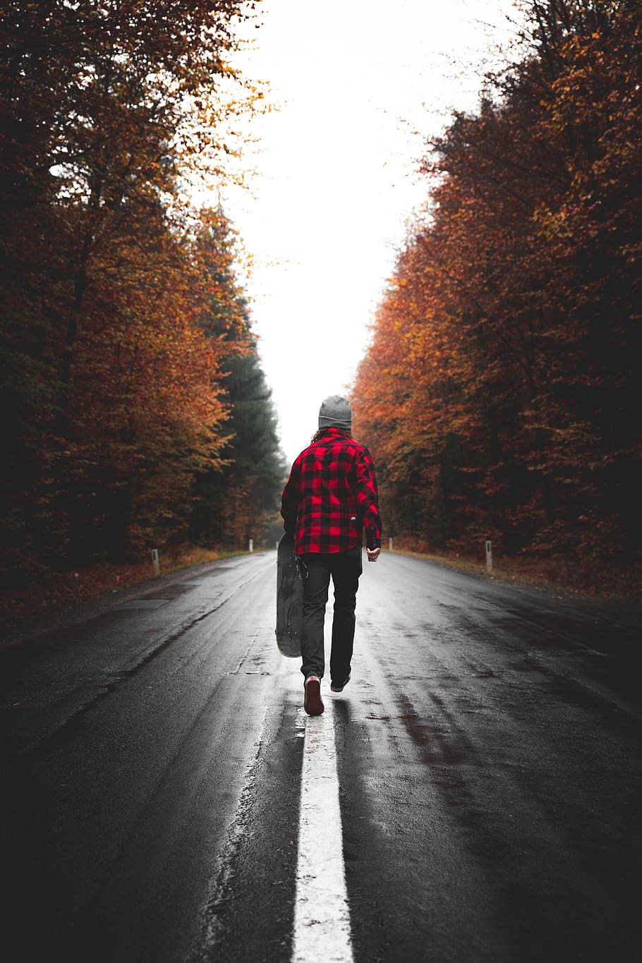 910x1365 HD wallpaper: person walking on road, rear view, tree, direction, full length