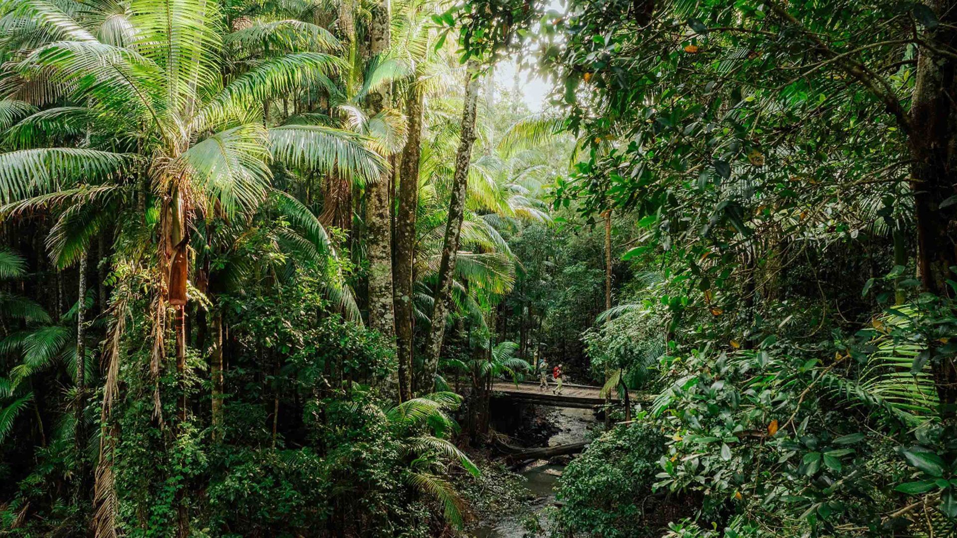1920x1080 Hiking Australia's Four Day Gidjuum Gulganyi Walk