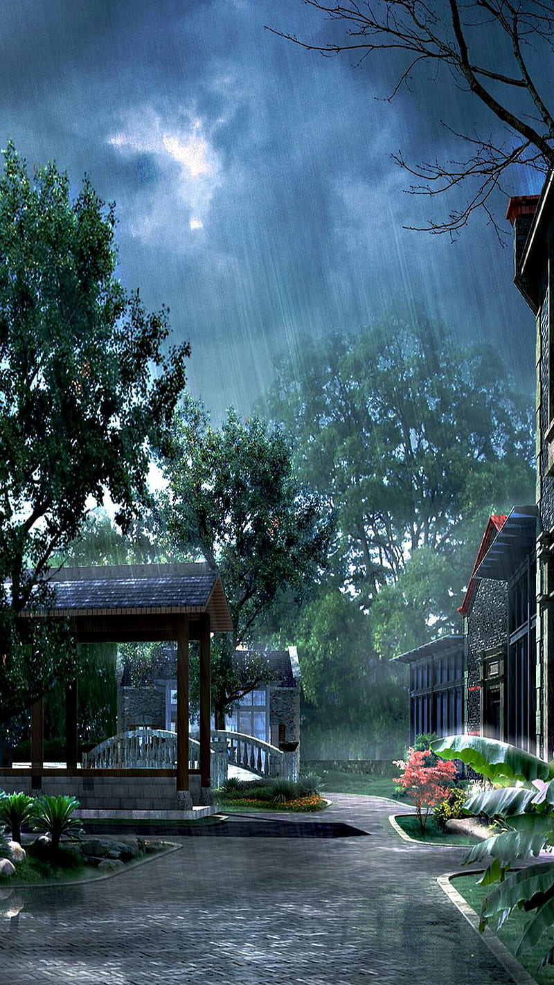 800x1422 Rain, dark rainy, rooms, tropical, HD phone wallpaper