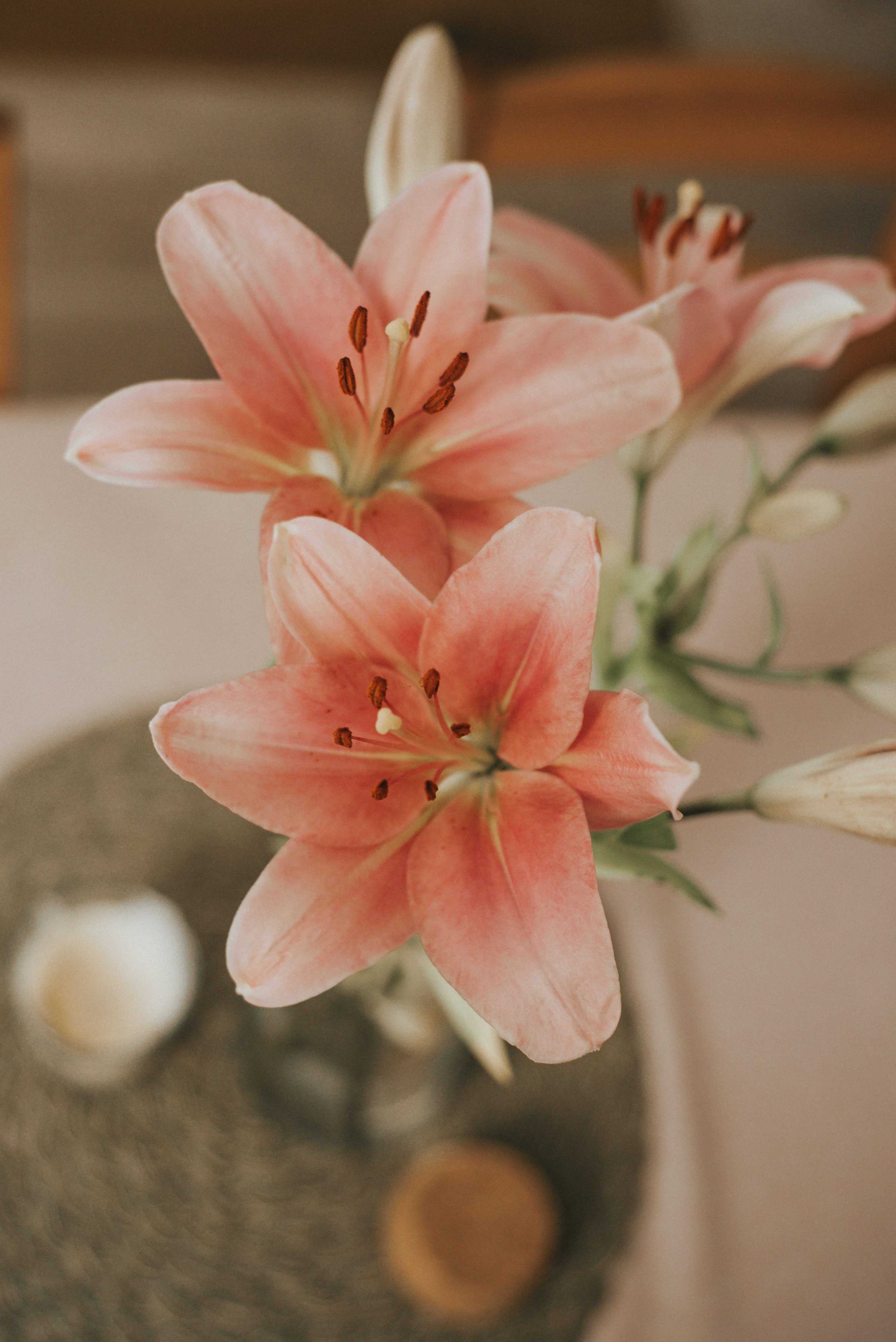 3000x4494 A vase filled with pink flowers on top of a table photo