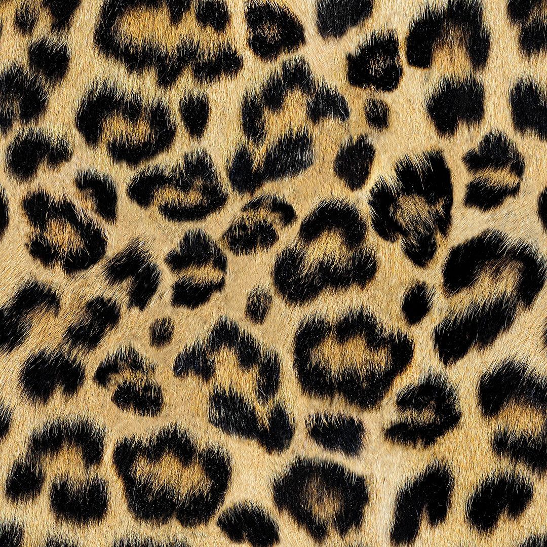 1080x1080 Leopard Print Wallpaper