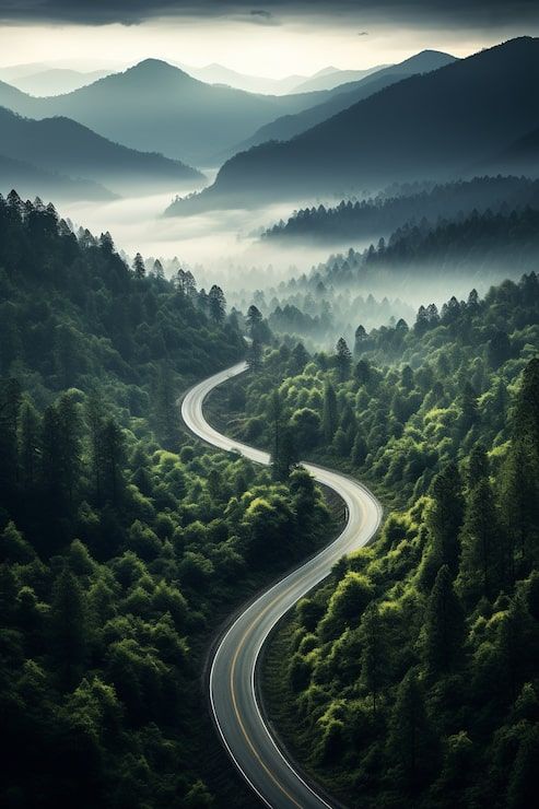 493x740 Road earth Image
