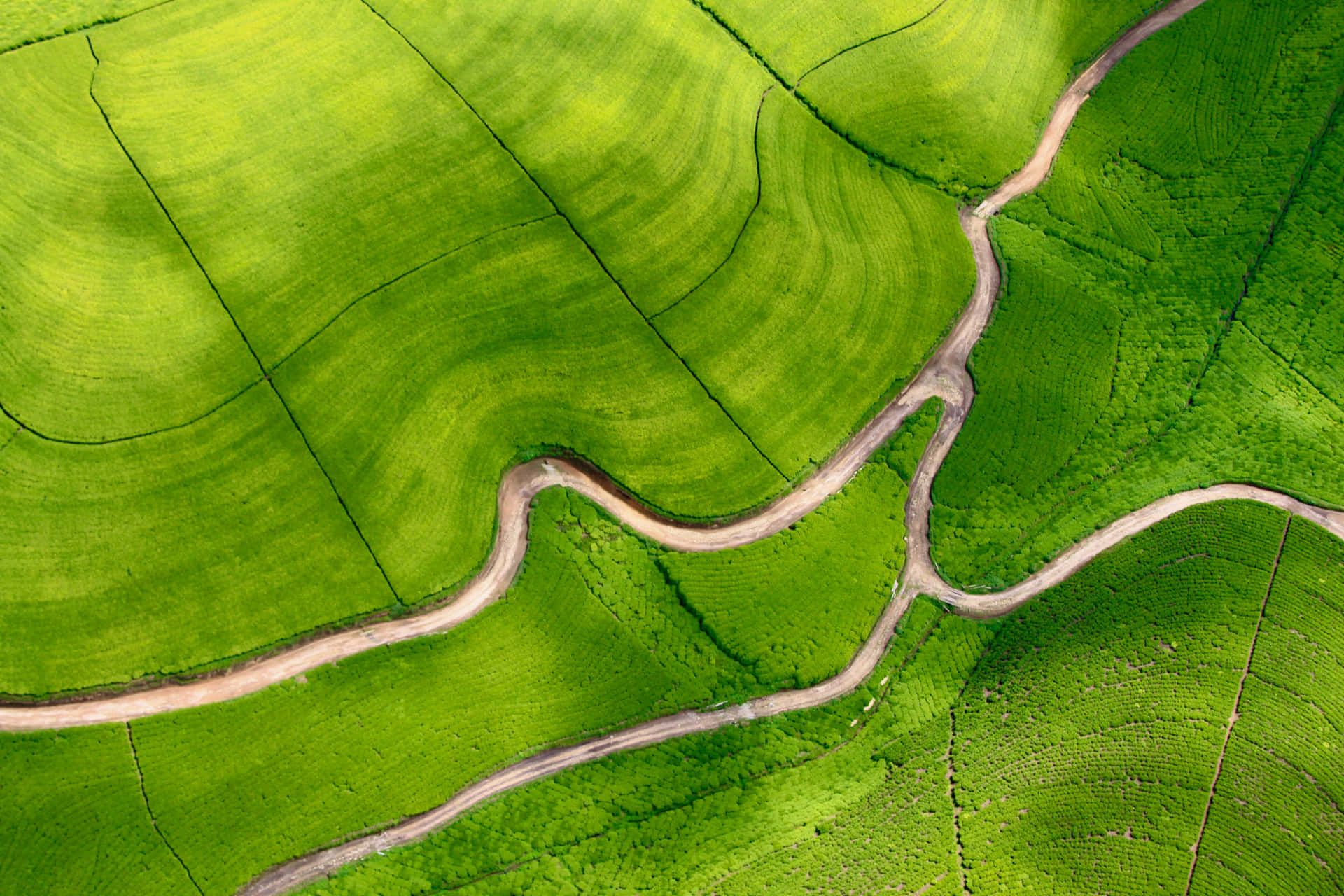 1920x1280 Download A Green Field With A Winding Road