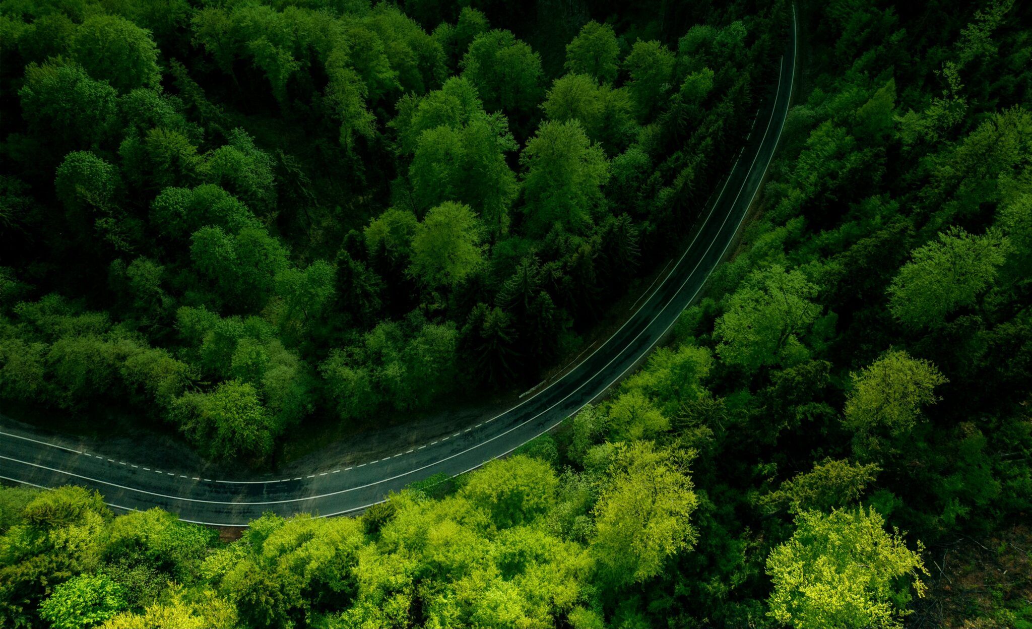 2048x1248 Kohlberg