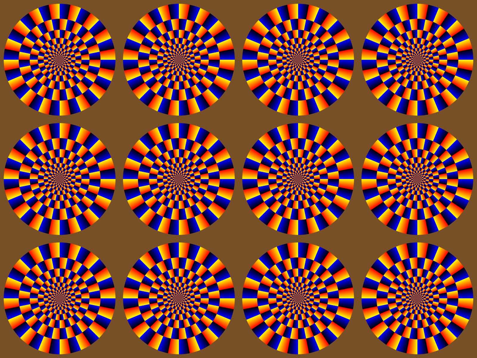 1600x1200 Bad Astronomy. Optical illusion of motion makes these snakes spin
