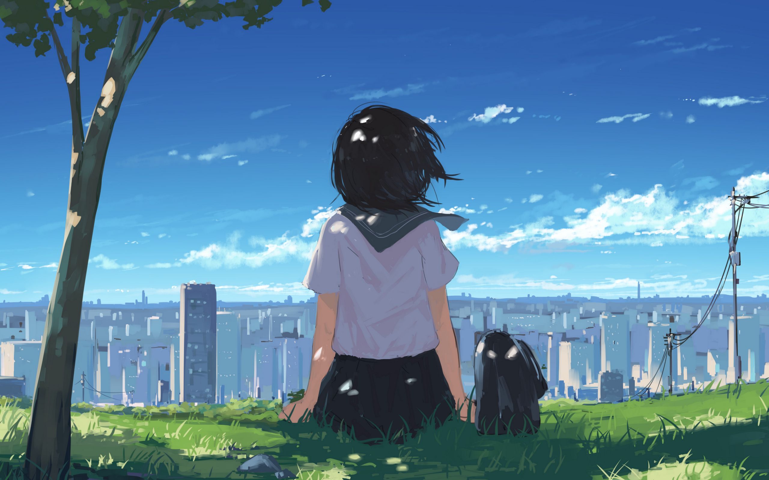 2560x1600 Download wallpaper 2560x1600 girl, grass, city, anime, art, cartoon widescreen 16:10 HD background