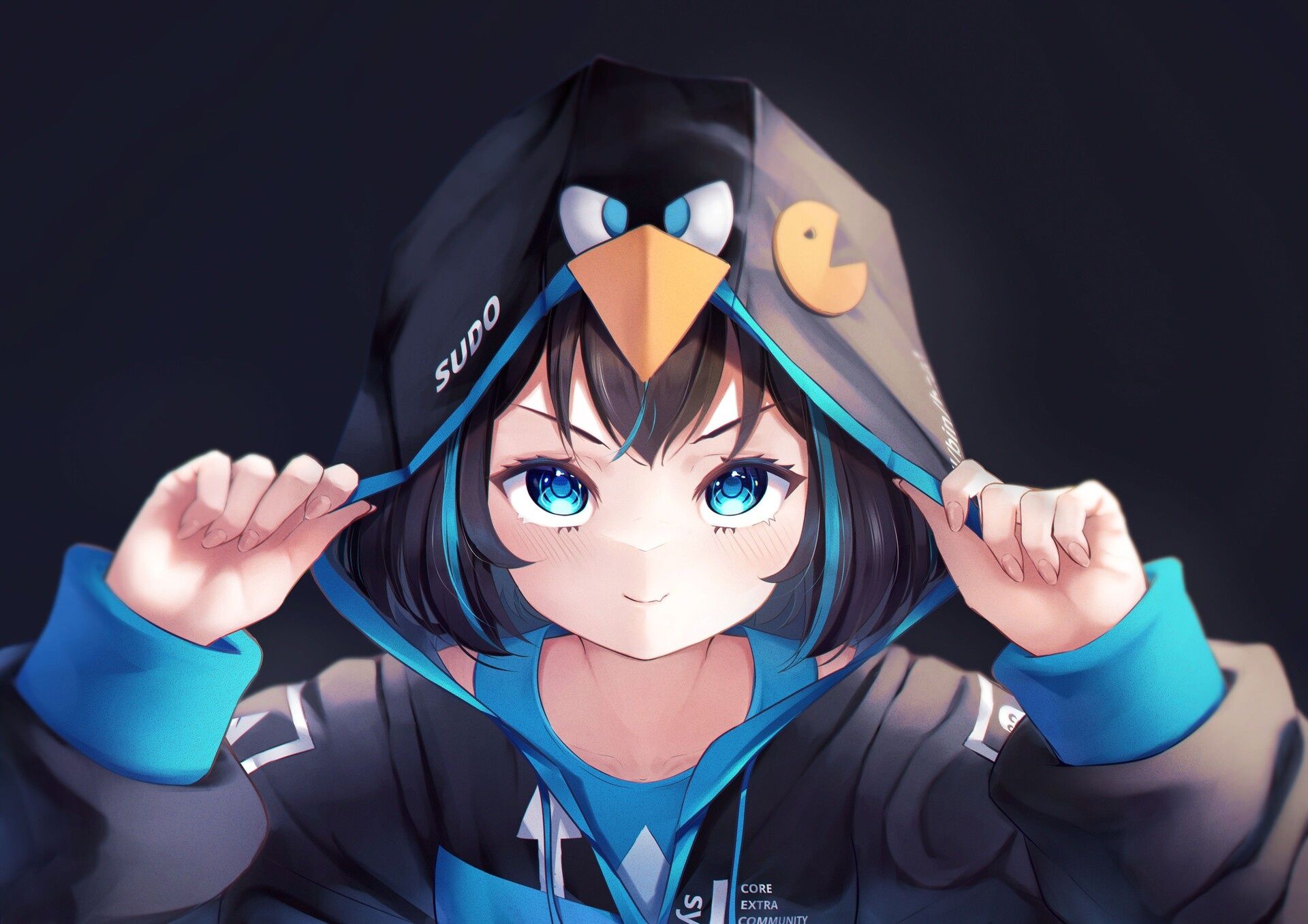 1920x1358 Wallpaper The Dark Background, Anime, Linux, Arch Linux, Anime Girl For Mobile And Desktop, Section Hi Tech, Resolution 1920x1358