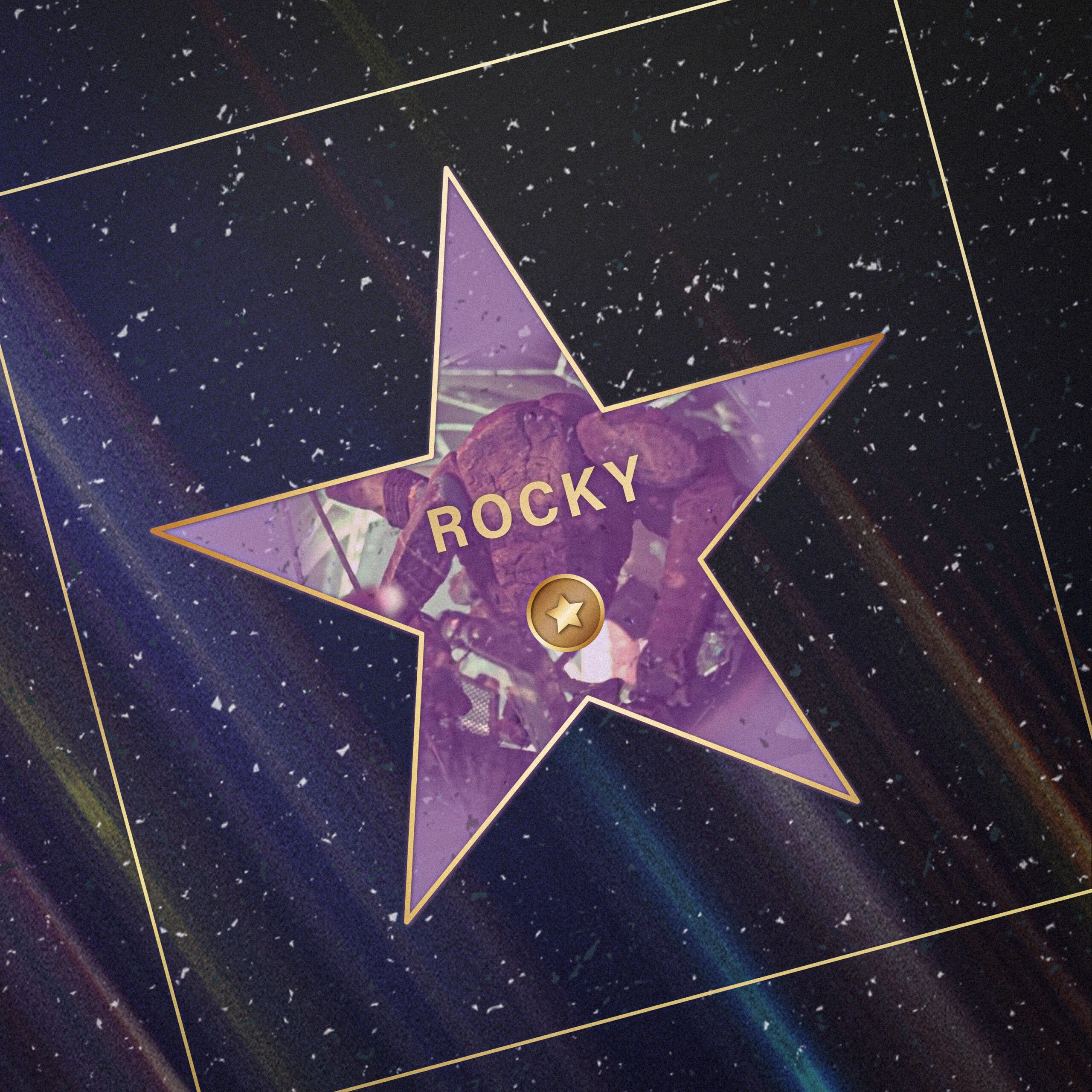 2560x2560 The MVP of 'Project Hail Mary' Is Made of Stone, but He'll Melt Your Heart