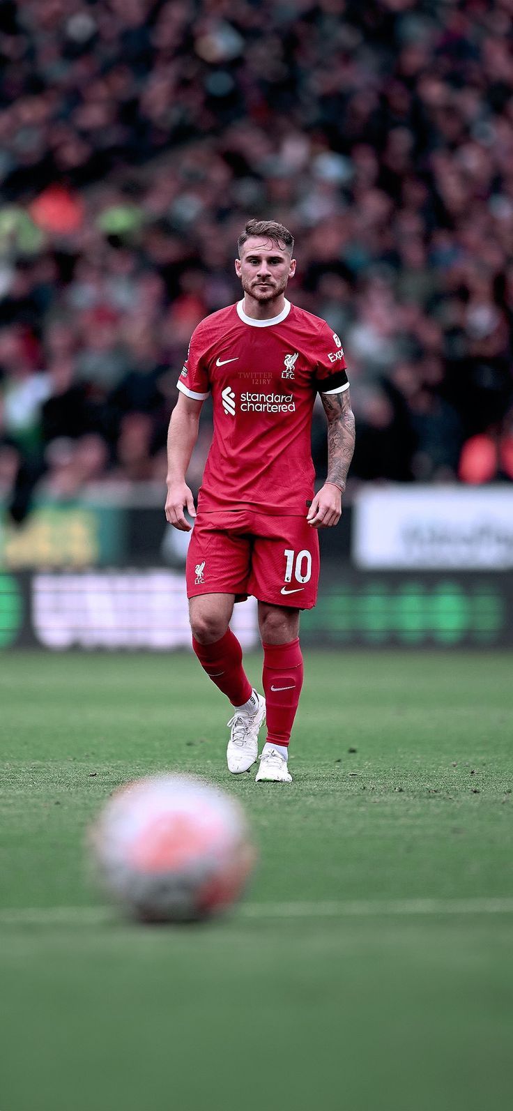 736x1593 Alexis Mac Allister. Futbol, Liverpool fc, Equipo de fútbol
