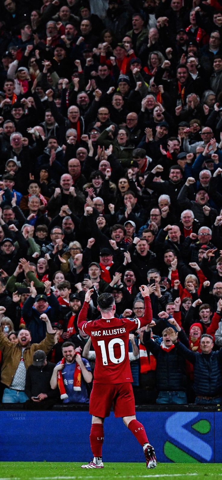 736x1591 Alexis Mac Allister Wallpaper