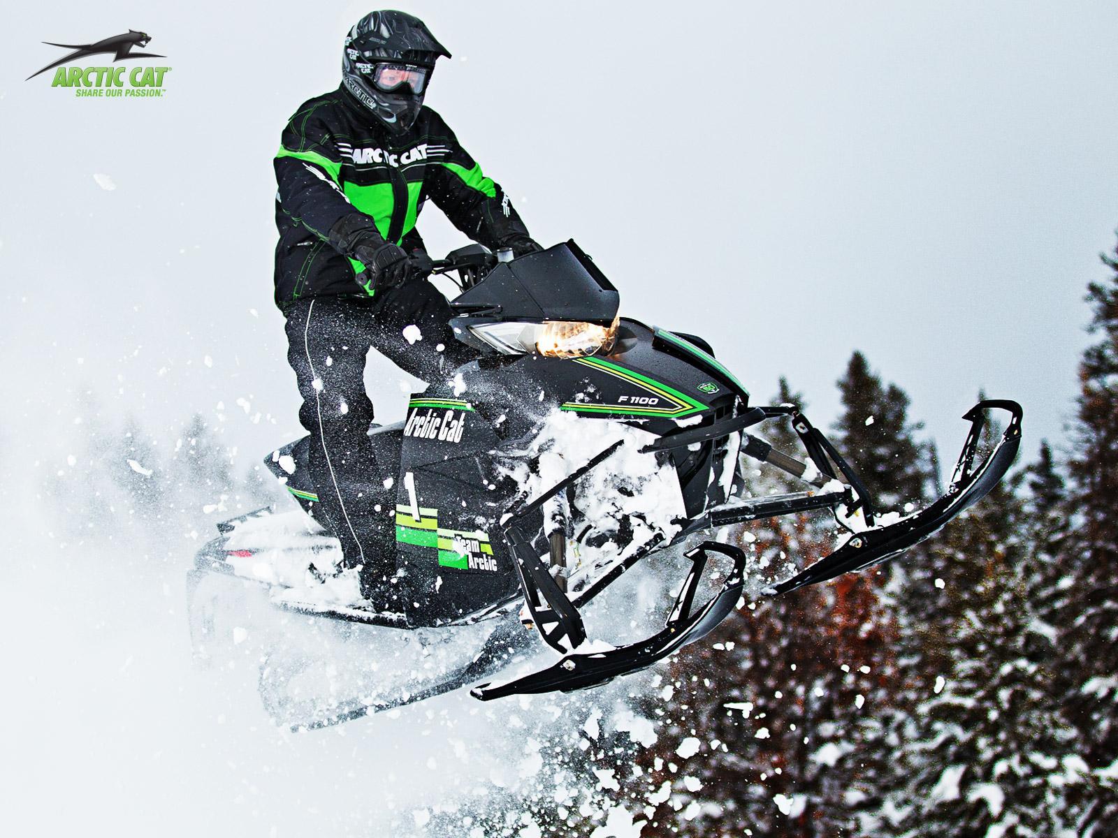 1600x1200 Arctic Cat Wallpaper