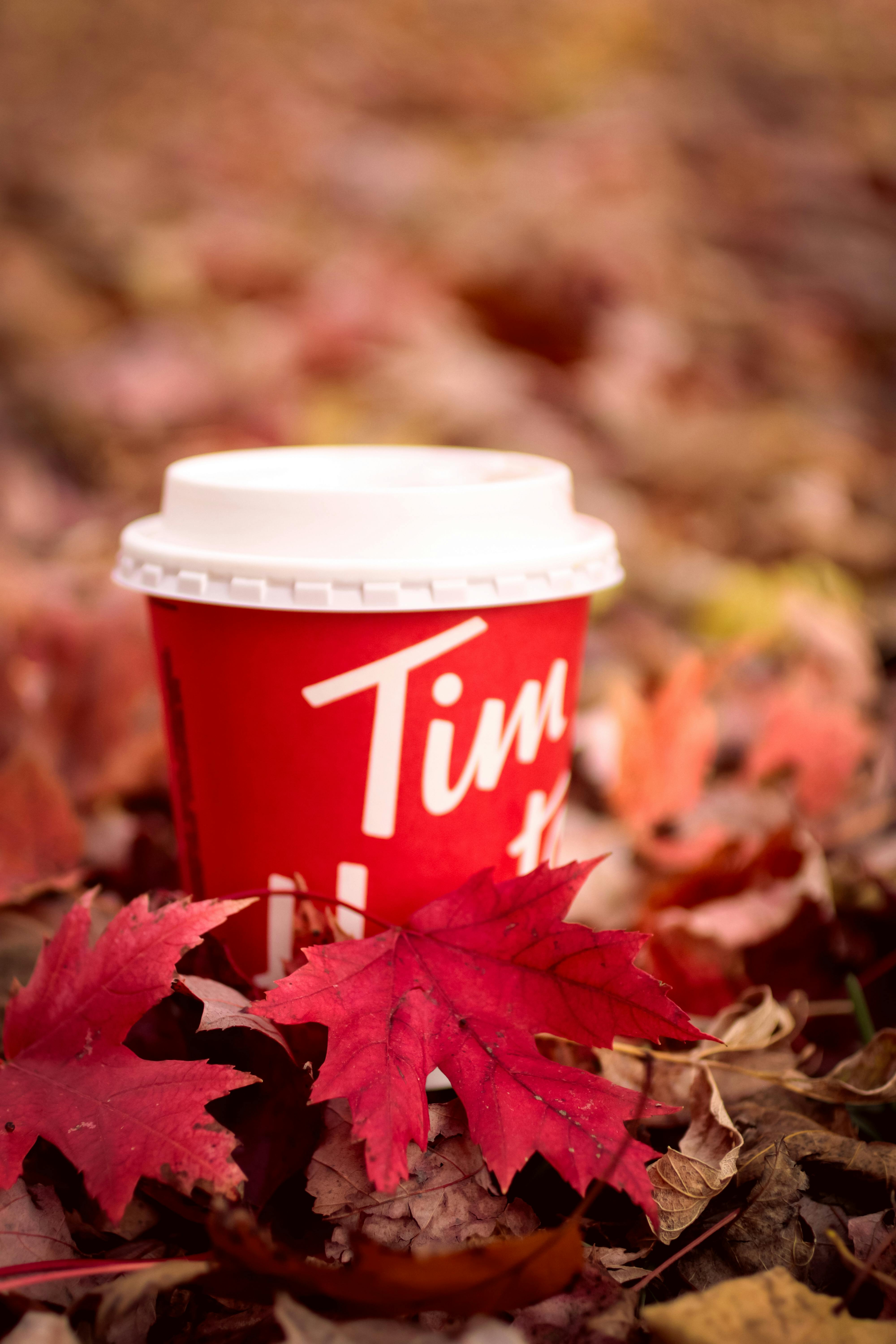 4000x6000 Tim Hortons Photo, Download The BEST Free Tim Hortons & HD Image
