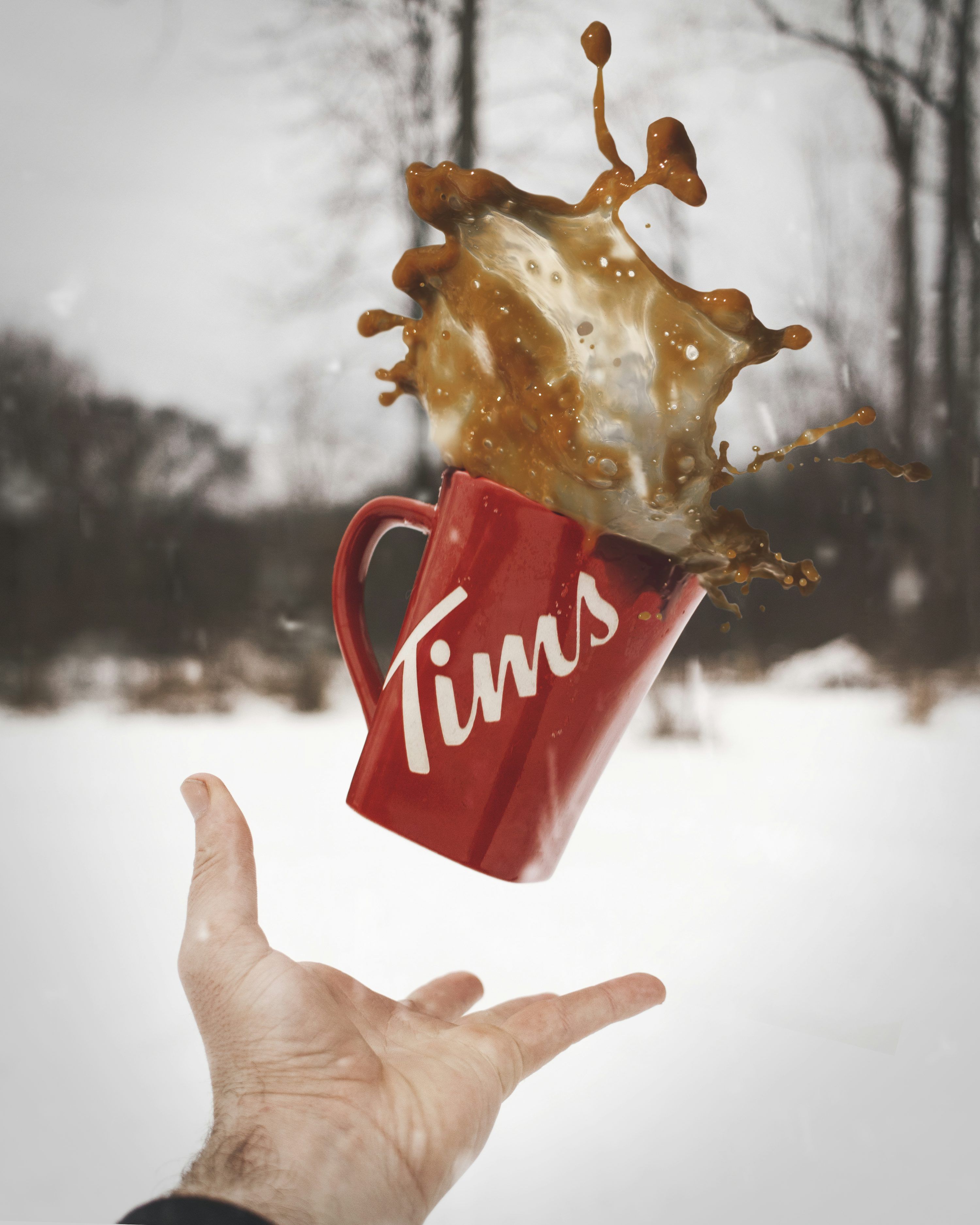 3000x3750 Tim Hortons Picture. Download Free Image