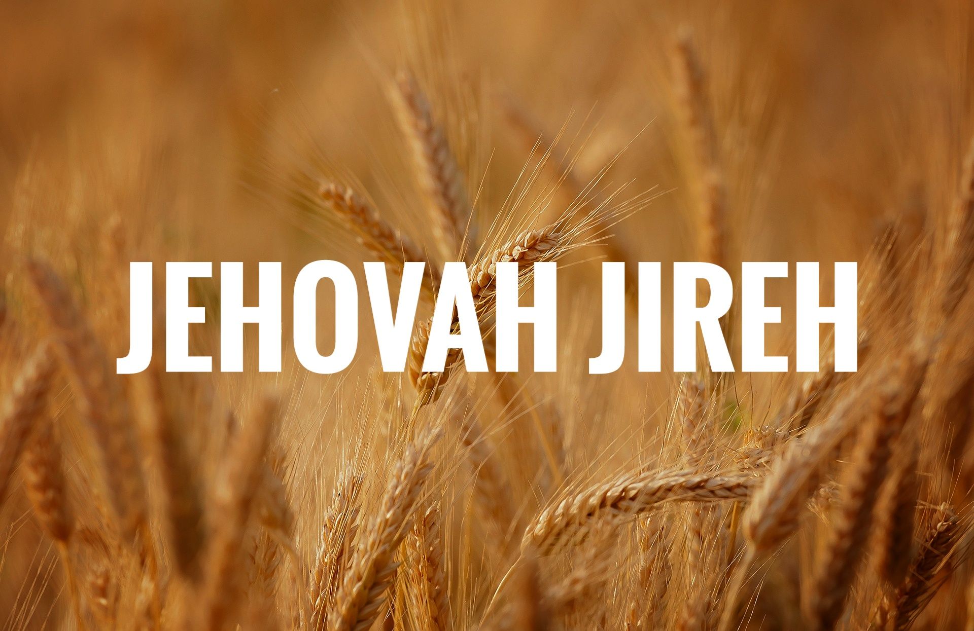 1920x1245 The Lord Will Provide (Jehovah Jireh)