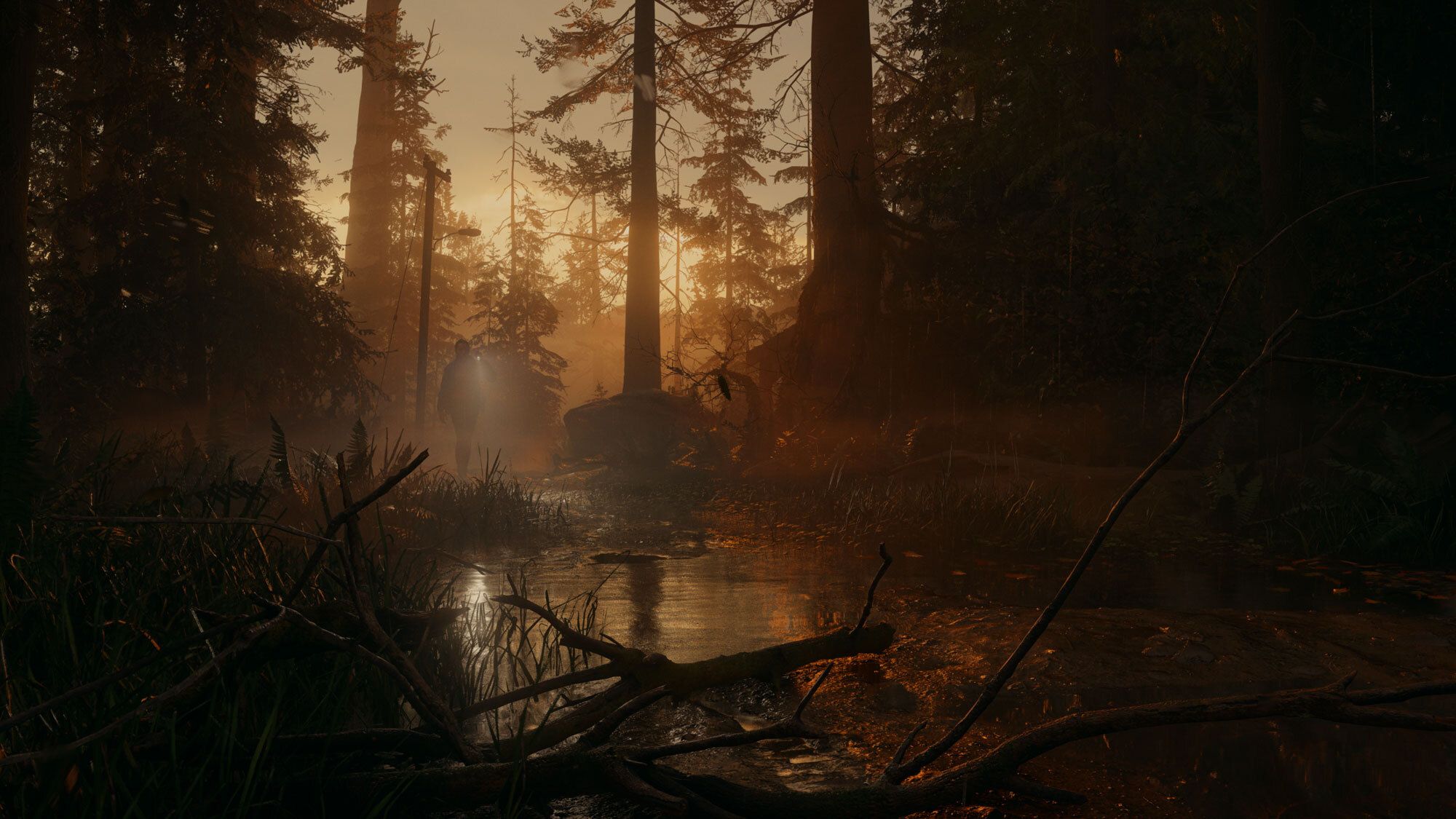 2000x1125 Alan Wake 2 Fankits