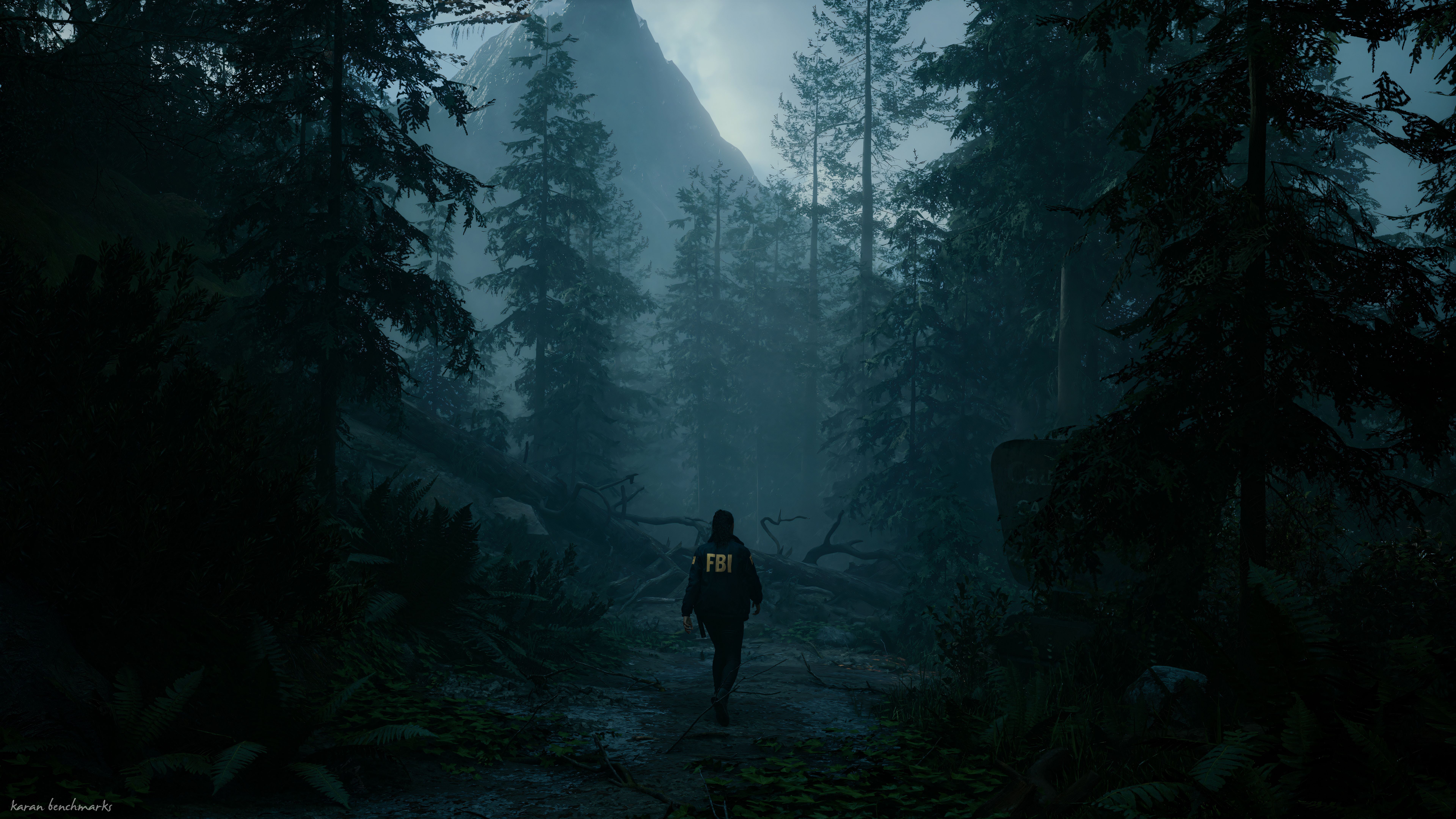 7680x4320 Alan Wake II