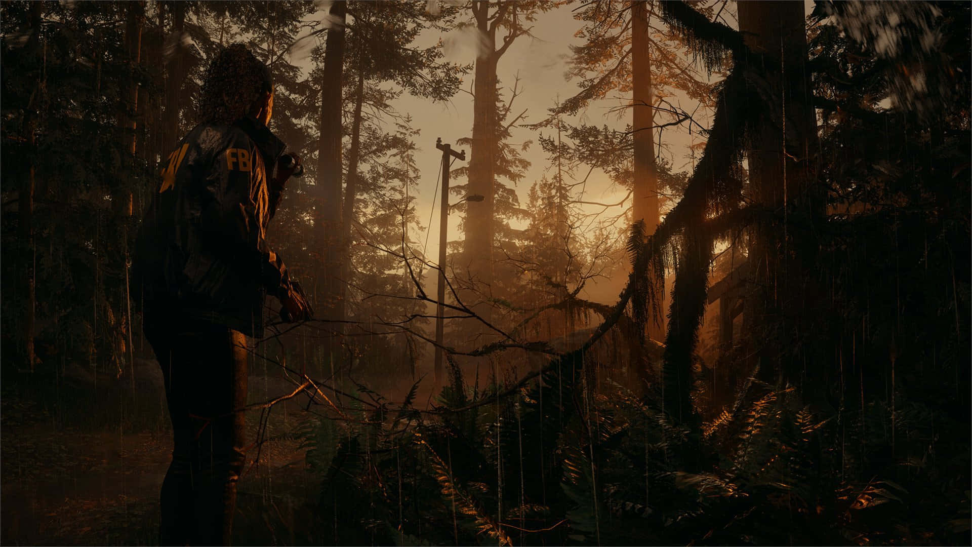 1920x1080 Alan Wake 2 Wallpaper