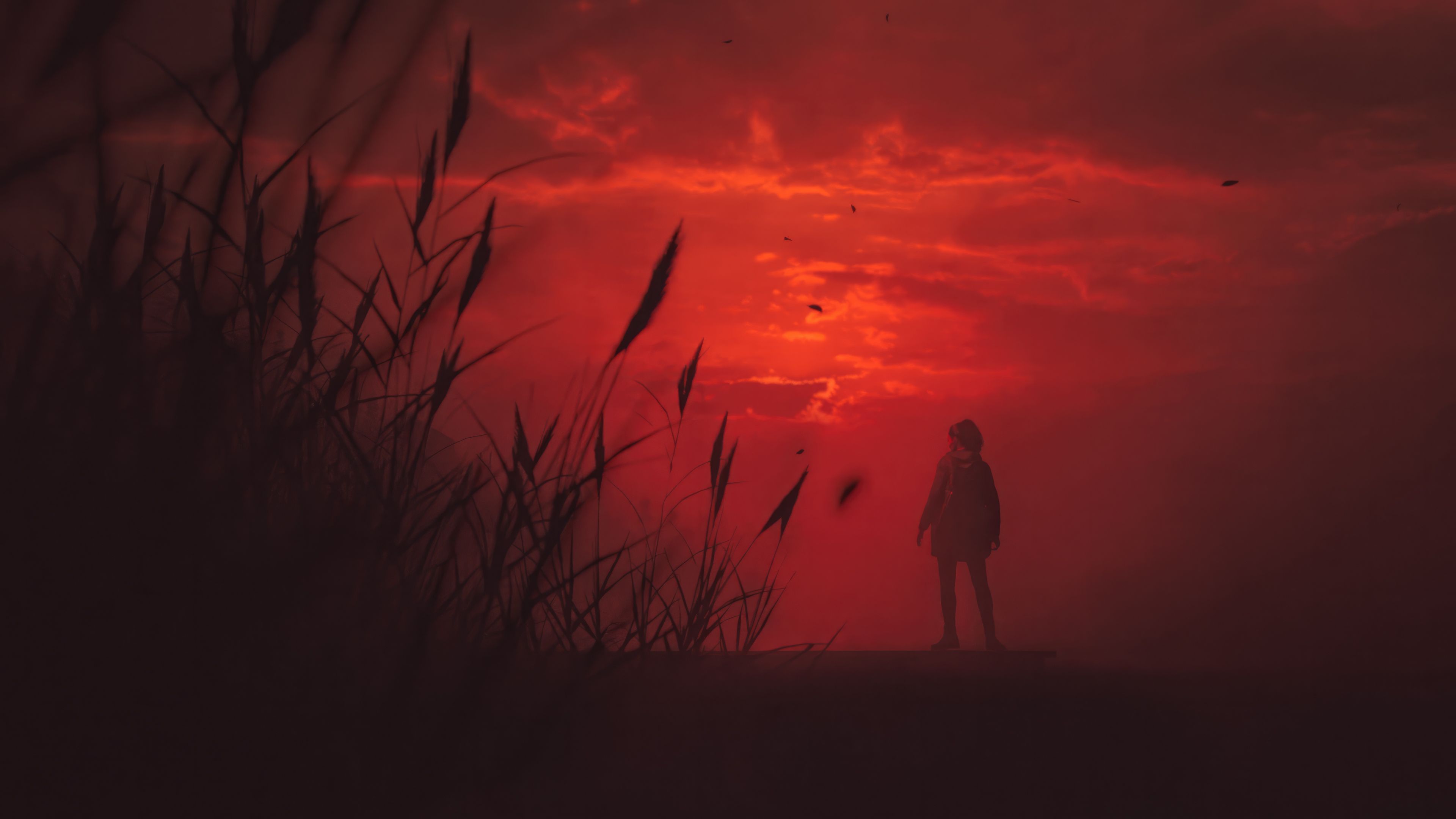 3840x2160 Alan Wake 2 2024 UltraWide Quad HD 1440P , HD 4k Wallpaper, Image, Background, Photos and Picture