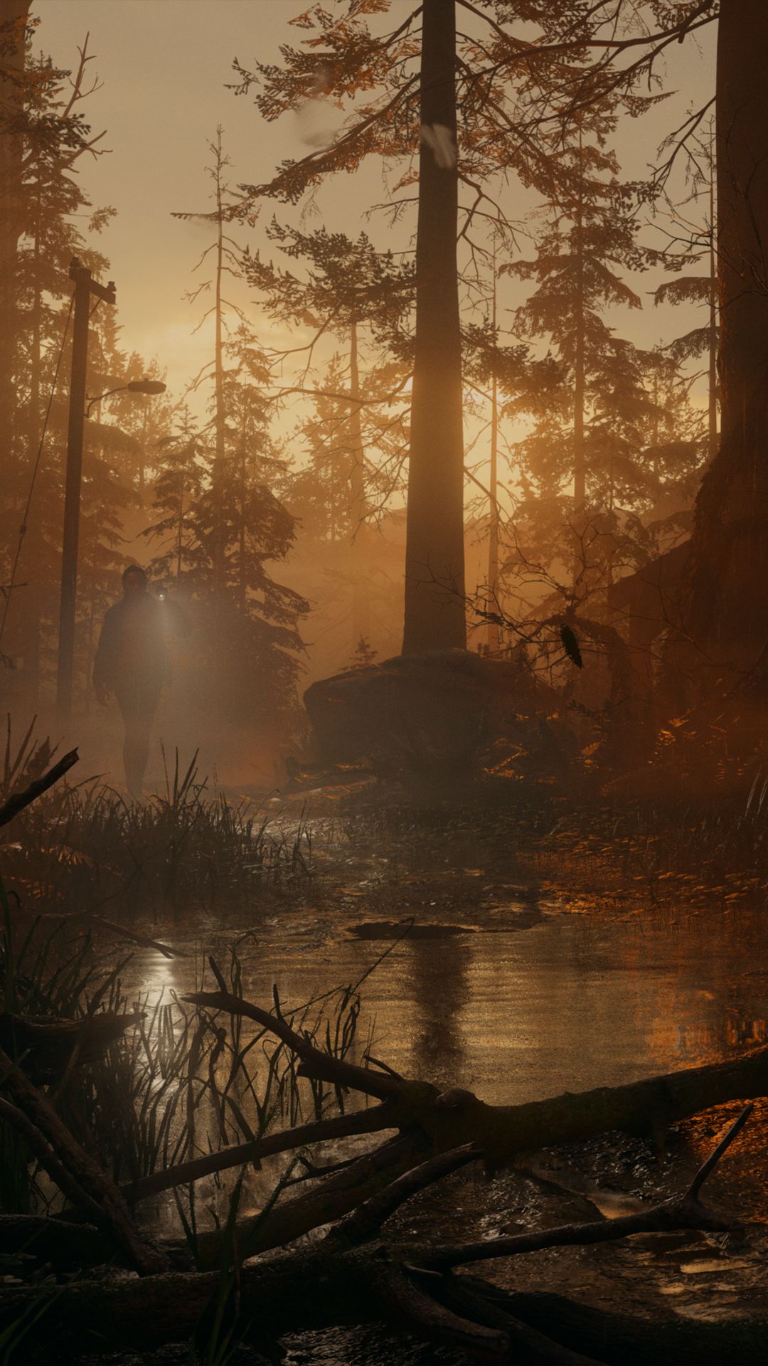 1080x1920 Alan Wake 2 Picture and Image: Free HD Downloads