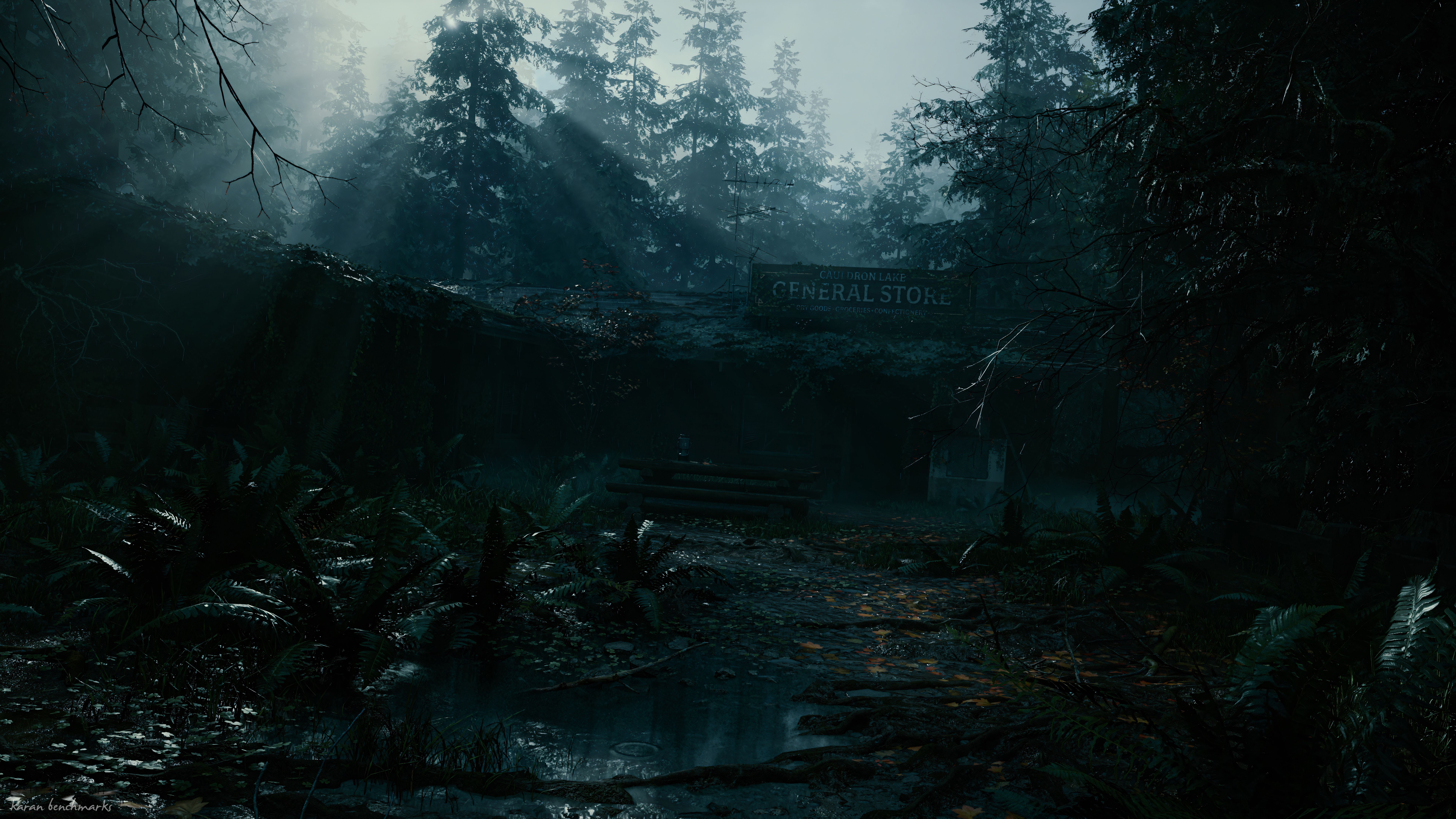 7680x4320 Alan Wake II