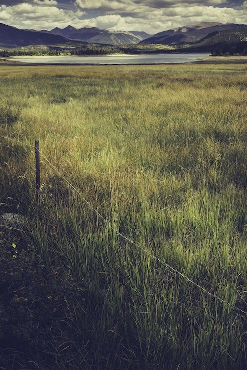 494x740 Alluvial plain Image