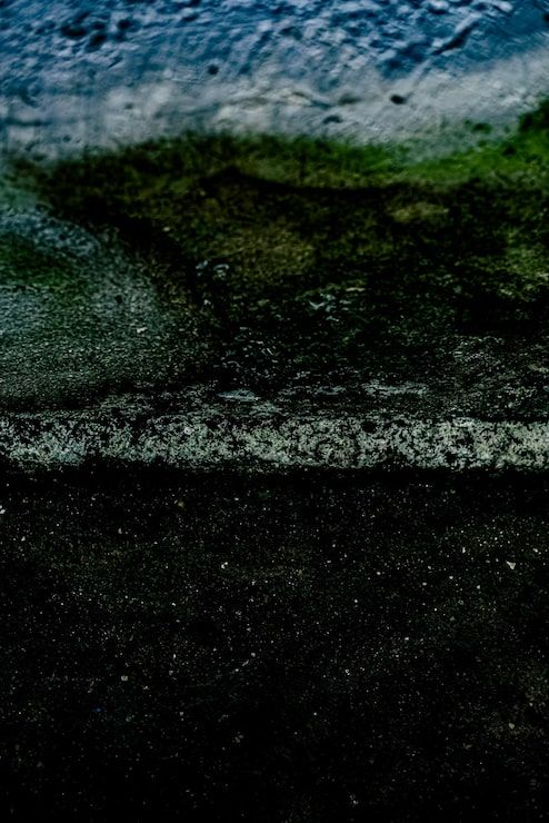 494x740 Alluvial soil Image