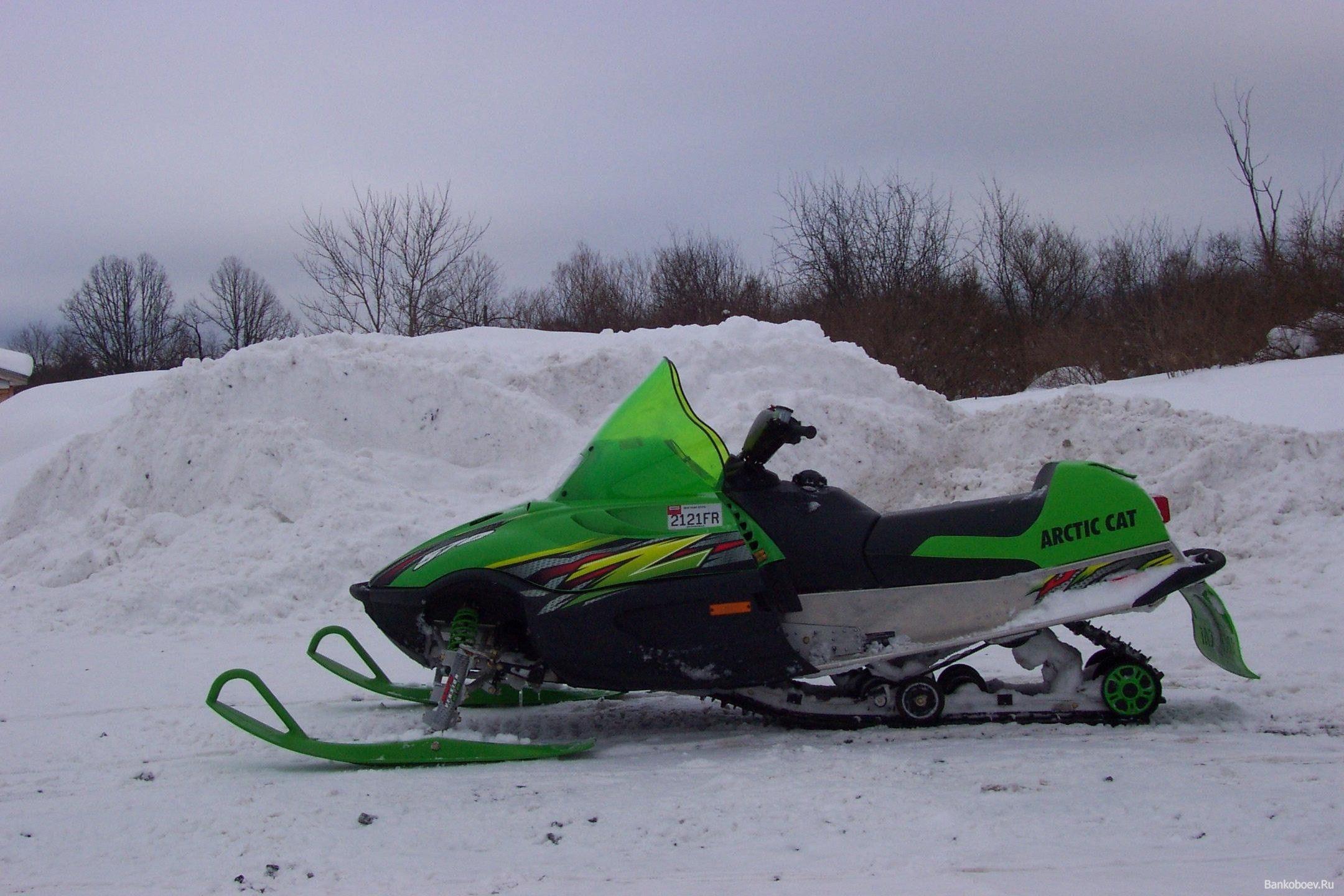 Arctic Cat Wallpapers - Top Free Arctic Cat Backgrounds - WallpaperAccess