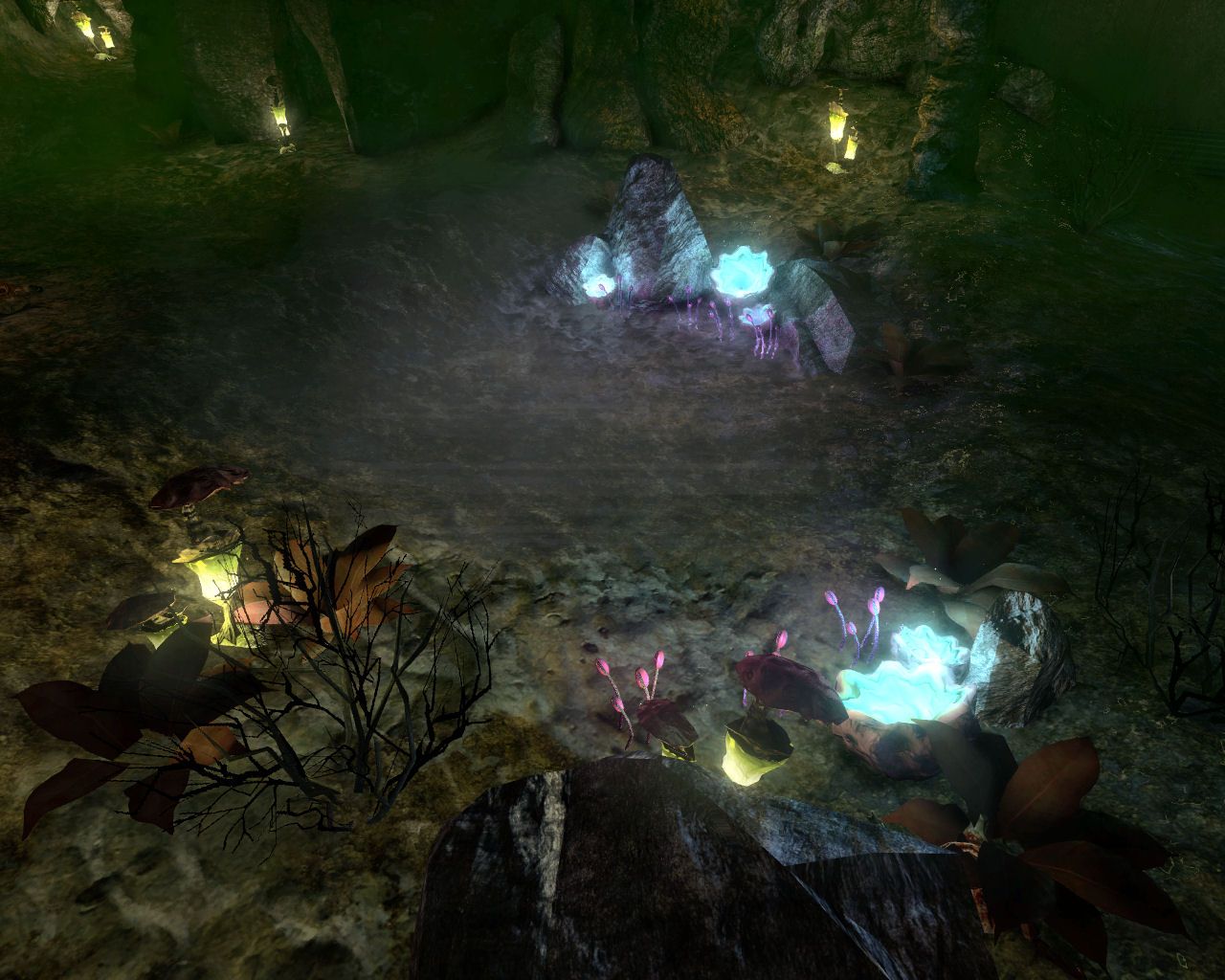 1280x1024 Black Mesa Flora Habitat image