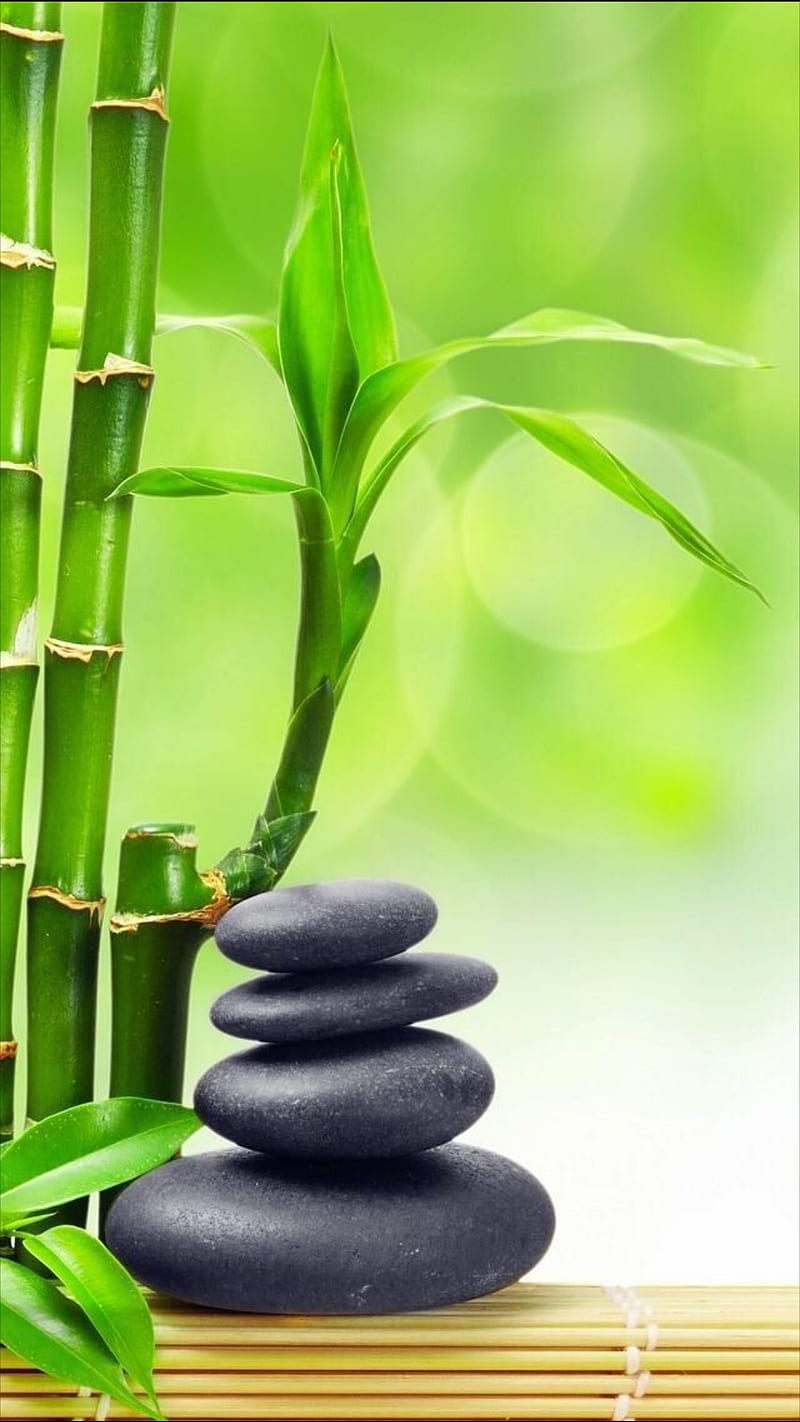 800x1422 HD bamboo zen wallpaper