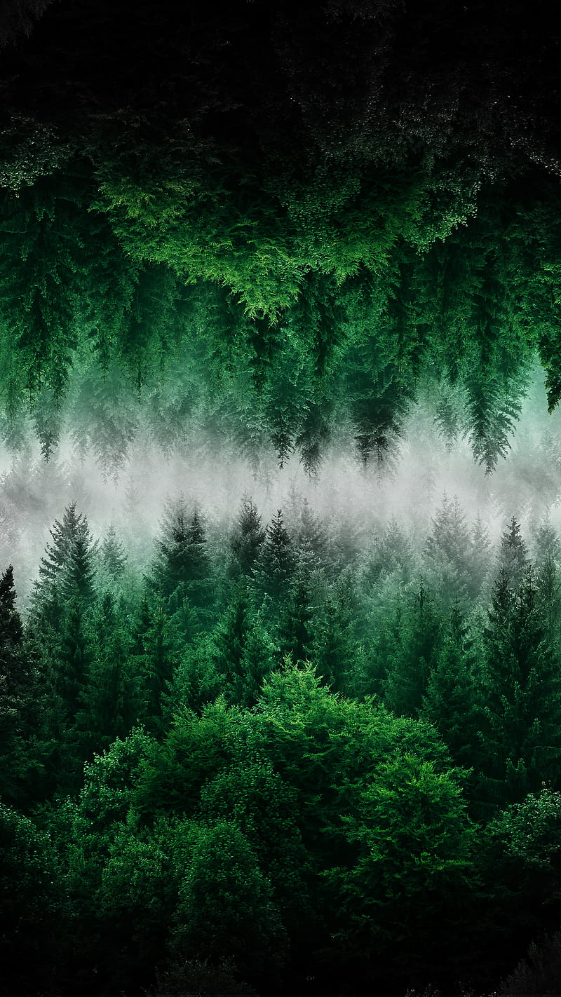 800x1422 Green Magic Forest, green, Abstract, POSITIVE VIBES, abstact, buddha, buddhism, HD phone wallpaper
