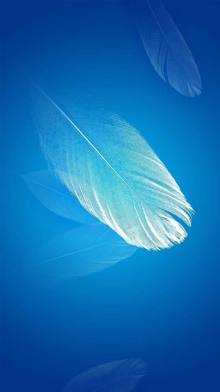 720x1280 iPhone Wallpaper. Blue, Feather, Wing, Aqua, Turquoise, Azure