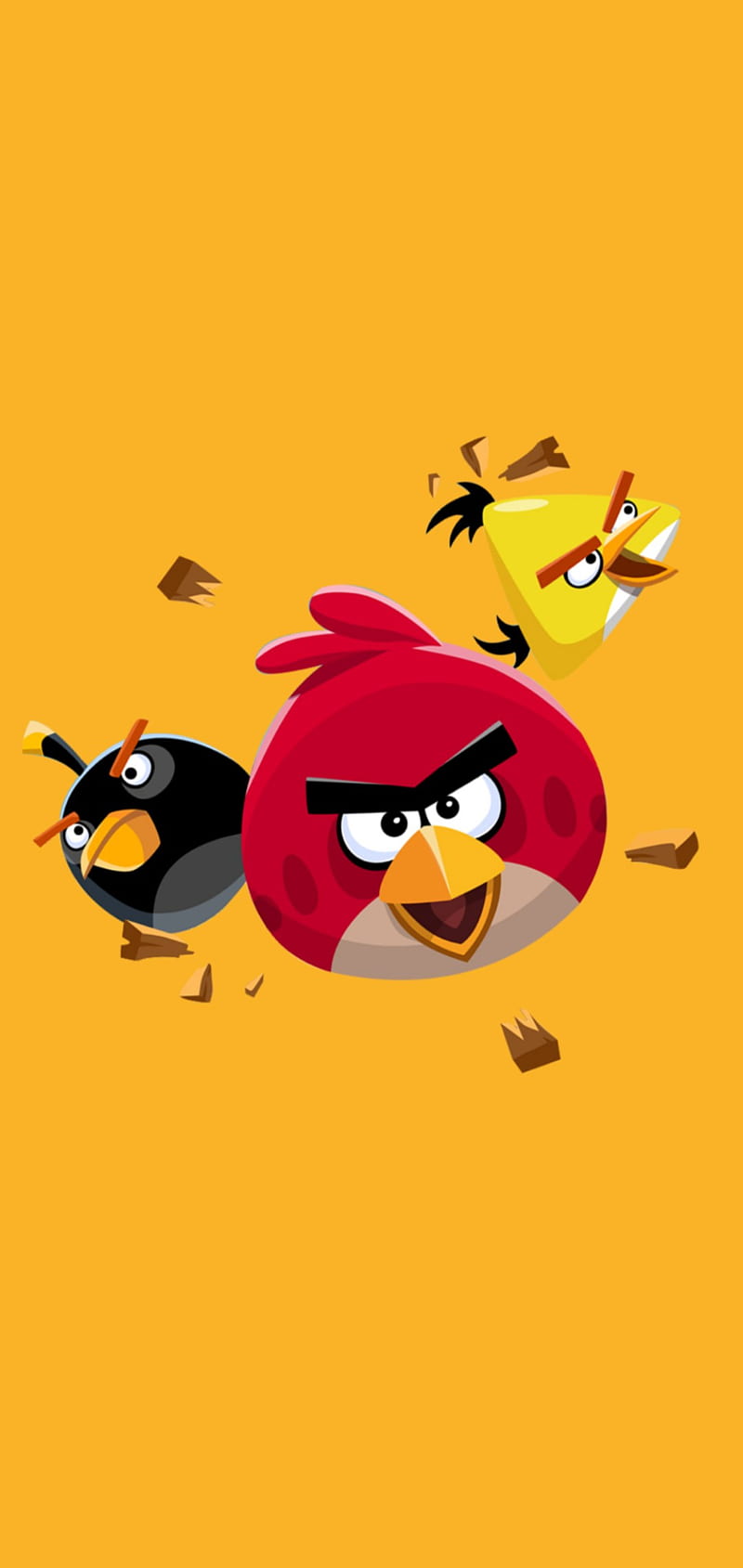 800x1689 HD angry birds wallpaper