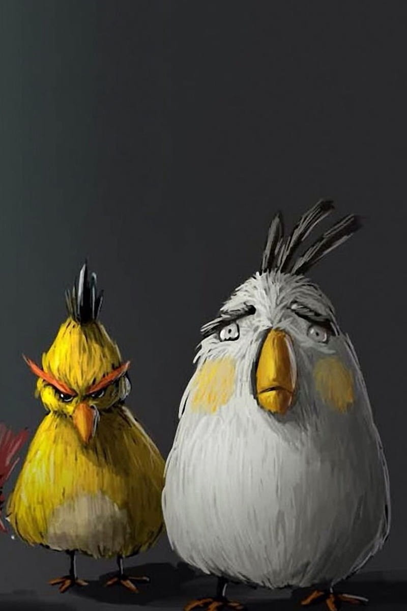 800x1200 Real Angry Birds, HD phone wallpaper