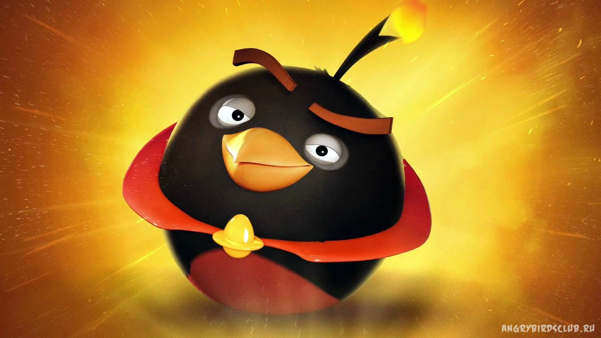 1920x1080 Angry Birds Bomb HD Wallpaper 26033