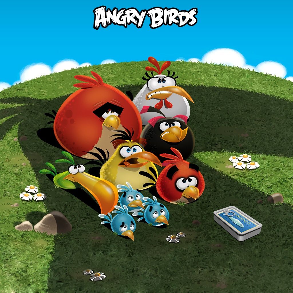 1024x1024 Angry Birds iPad HD Free Wallpaper