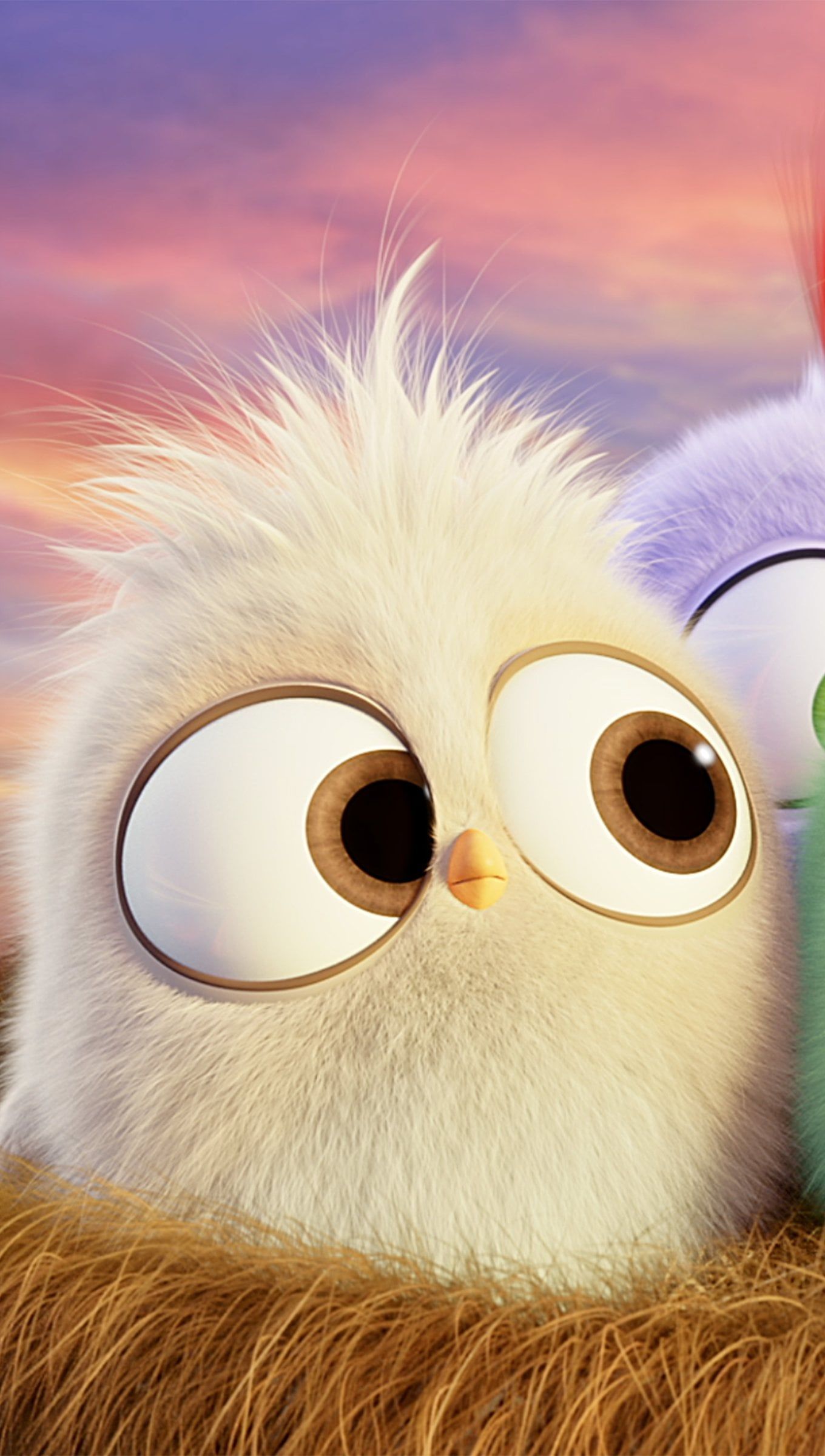 1360x2400 Angry Birds Hatchlings Wallpaper 4K for iPhone and Mobile Phone