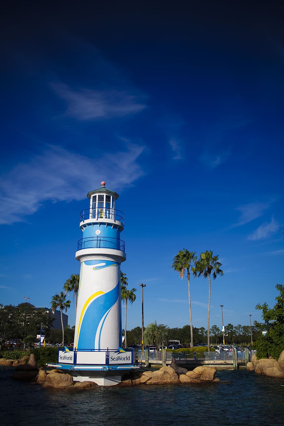 910x1365 Seaworld orlando 1080P, 2K, 4K, 5K HD wallpaper free download